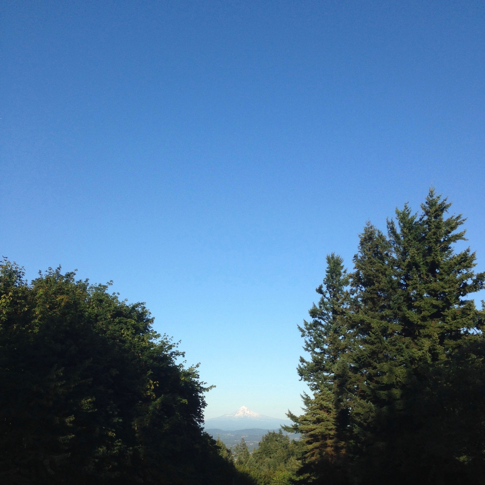 View from Council Crest toward Mt. Hood, which is visible