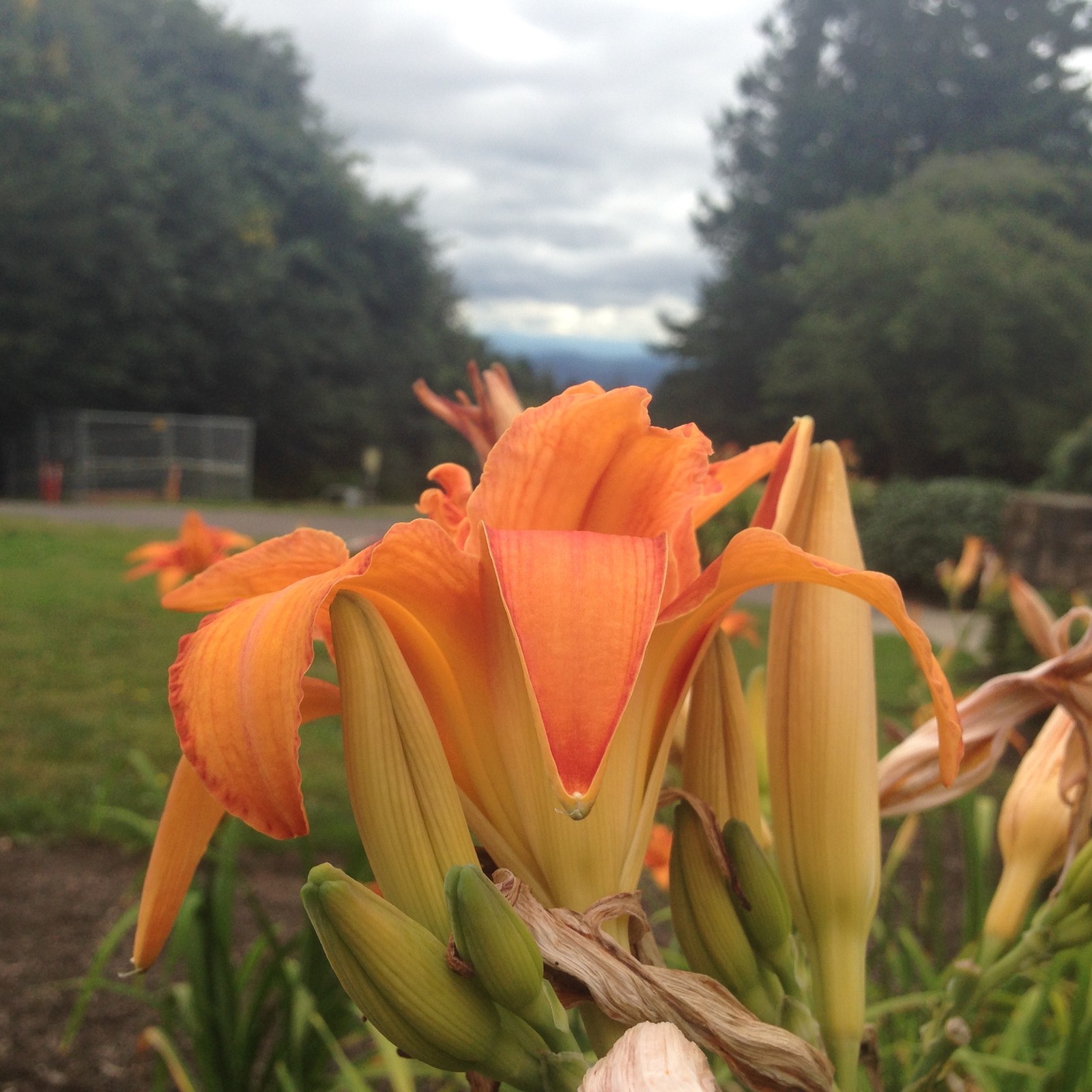 View from Council Crest toward Mt. Hood, which is NOT visible