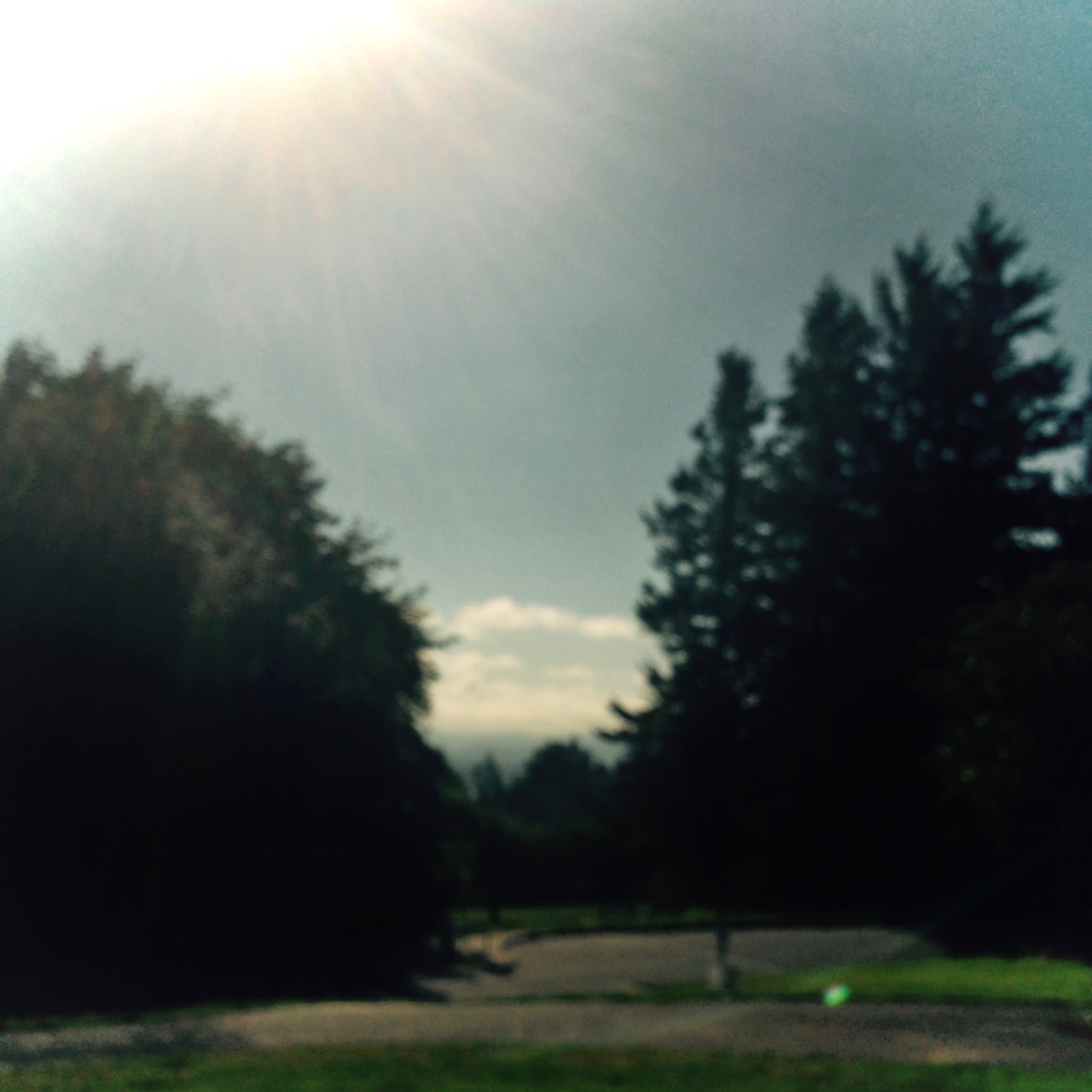 View from Council Crest toward Mt. Hood, which is NOT visible