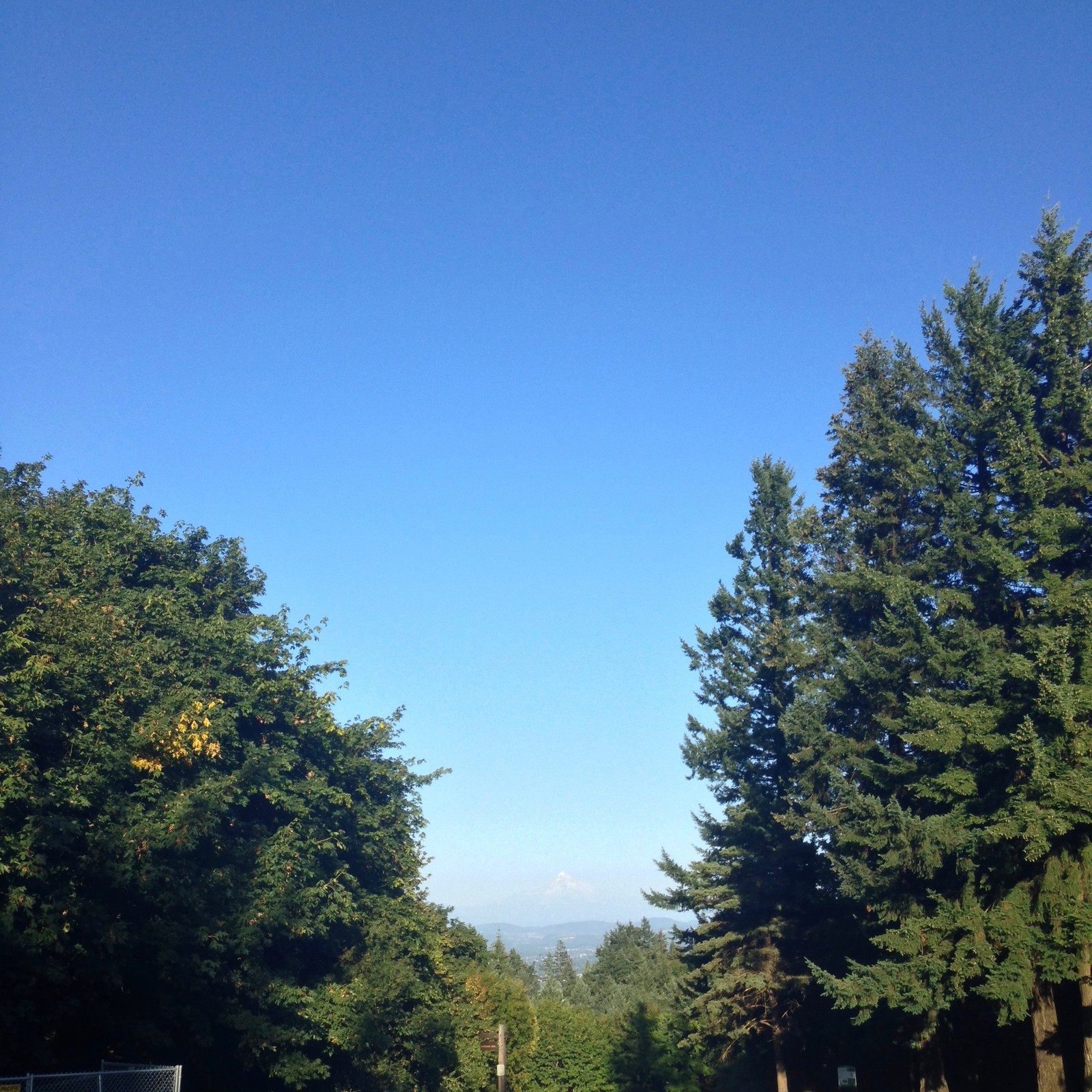 View from Council Crest toward Mt. Hood, which is visible