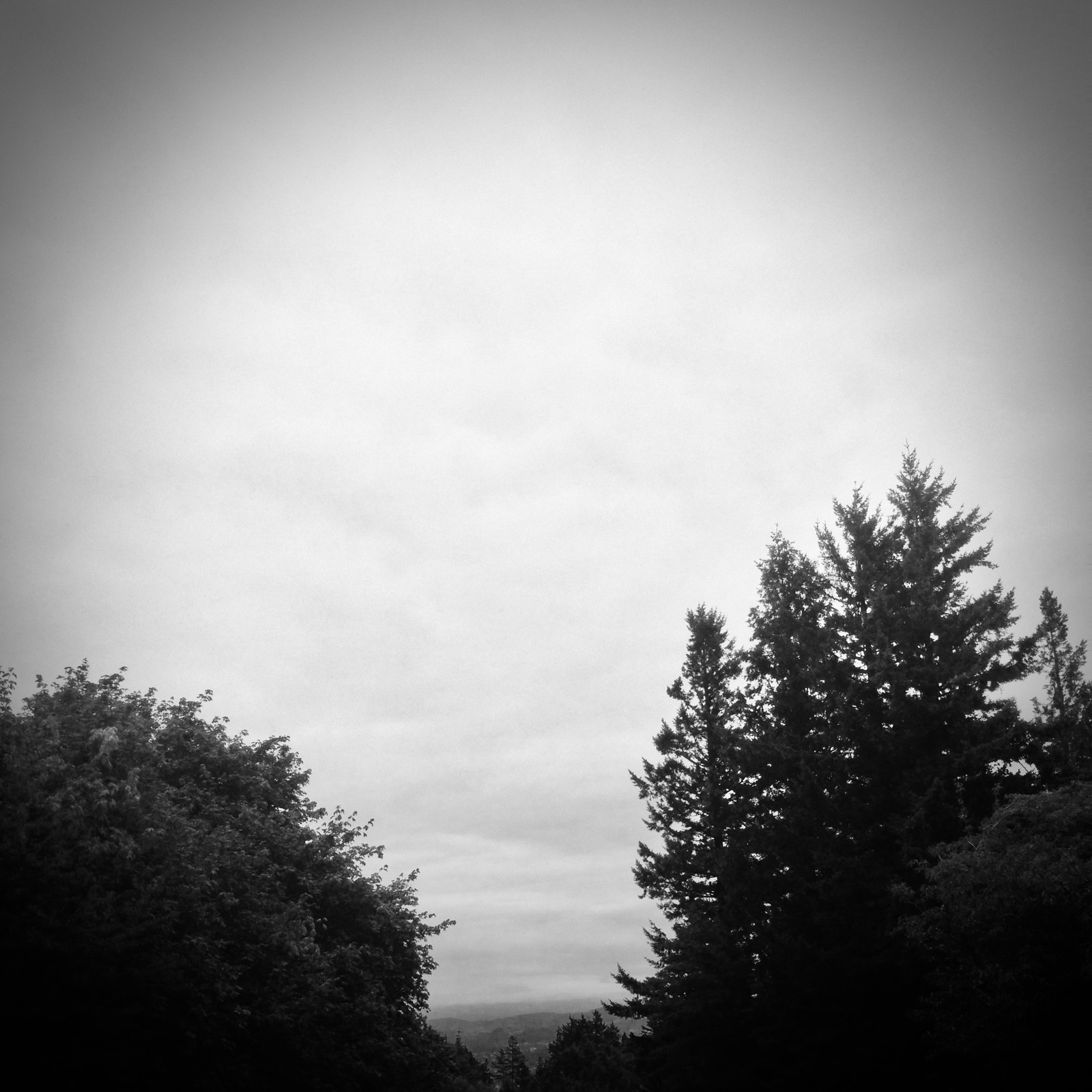 View from Council Crest toward Mt. Hood, which is NOT visible