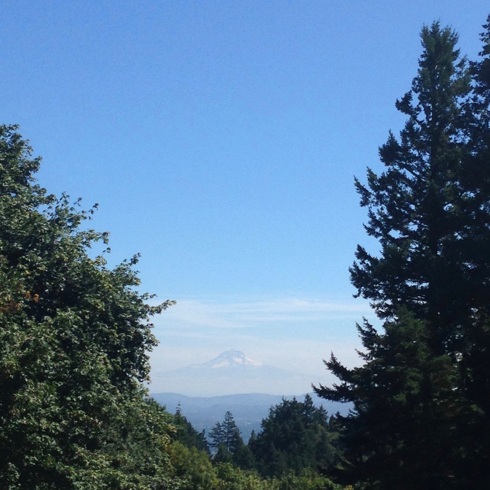 View from Council Crest toward Mt. Hood, which is visible