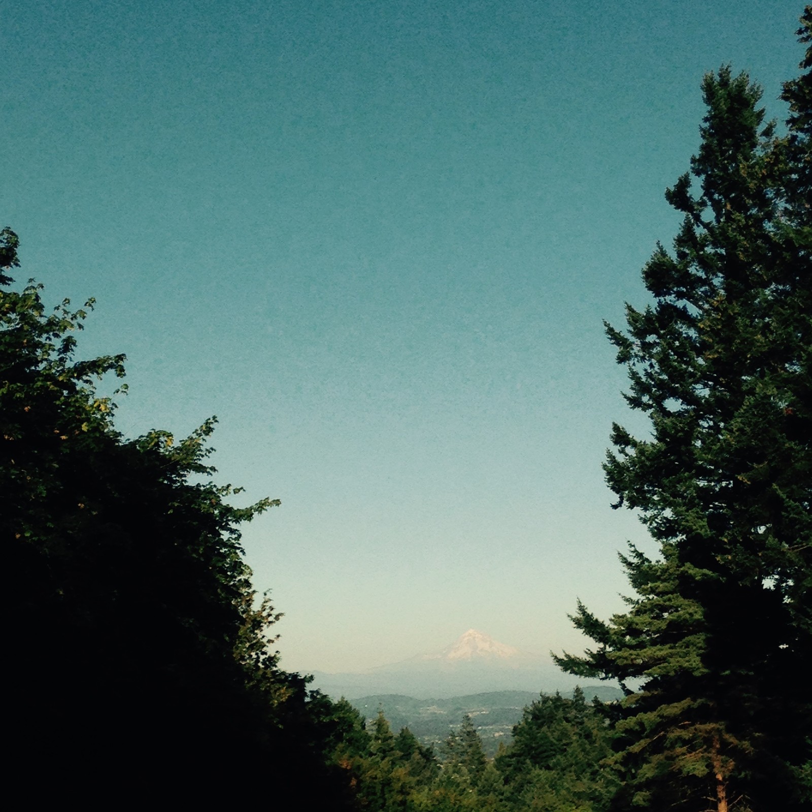 View from Council Crest toward Mt. Hood, which is visible