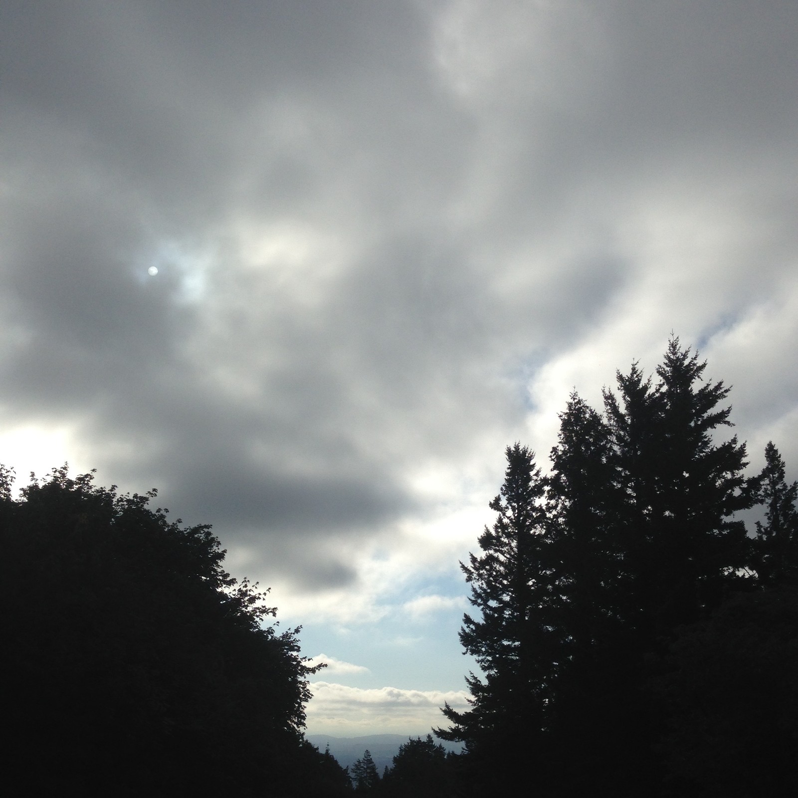 View from Council Crest toward Mt. Hood, which is NOT visible