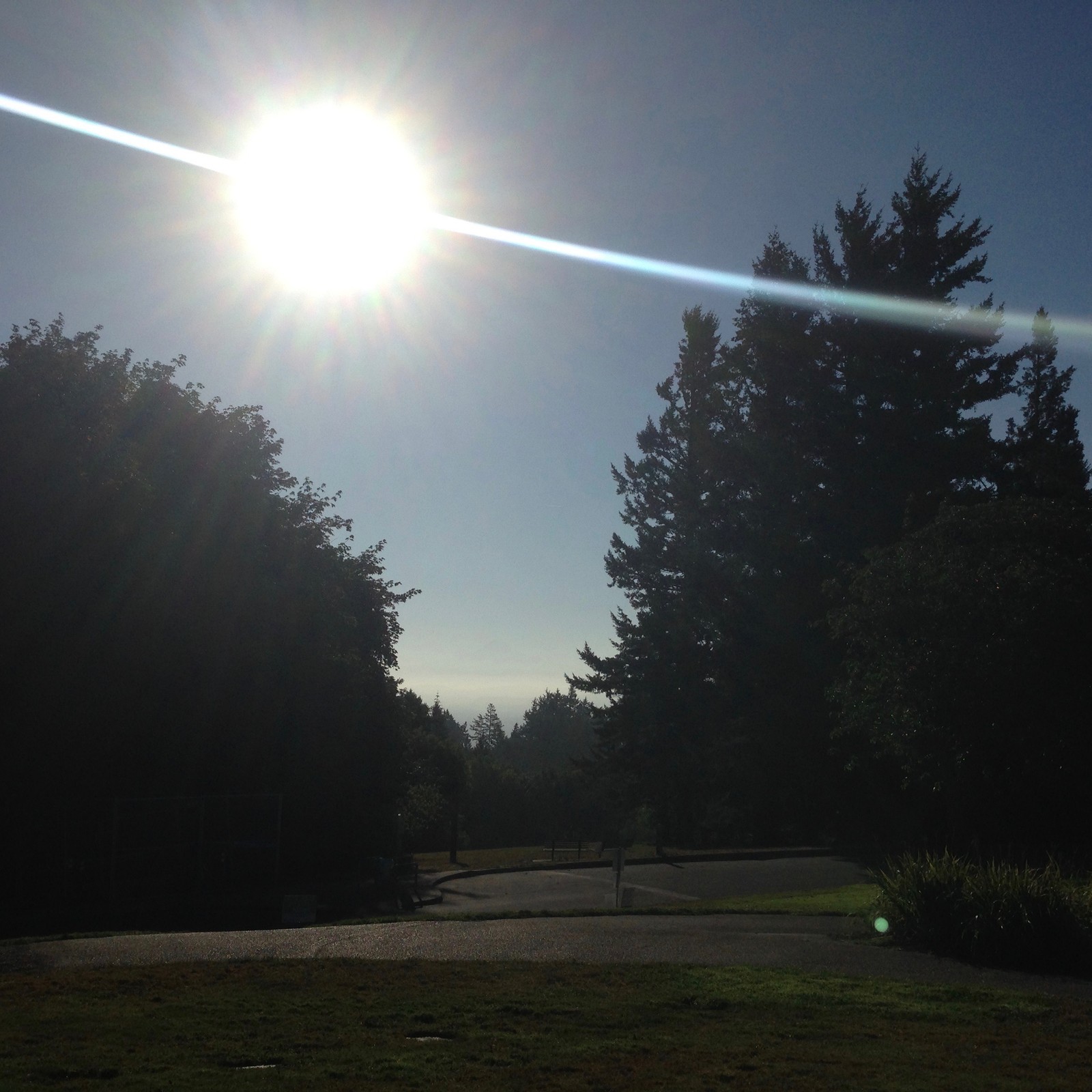View from Council Crest toward Mt. Hood, which is visible