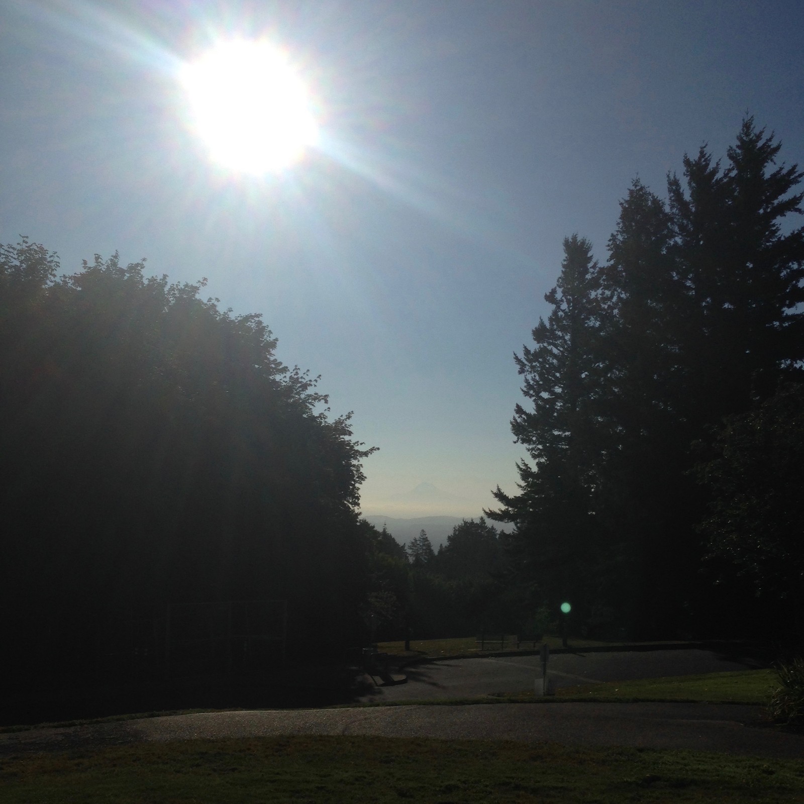 View from Council Crest toward Mt. Hood, which is visible