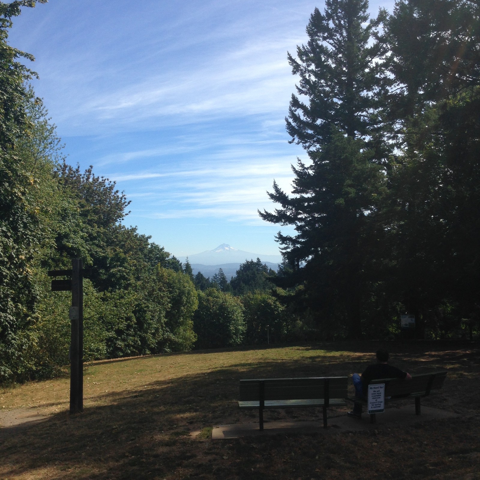 View from Council Crest toward Mt. Hood, which is visible