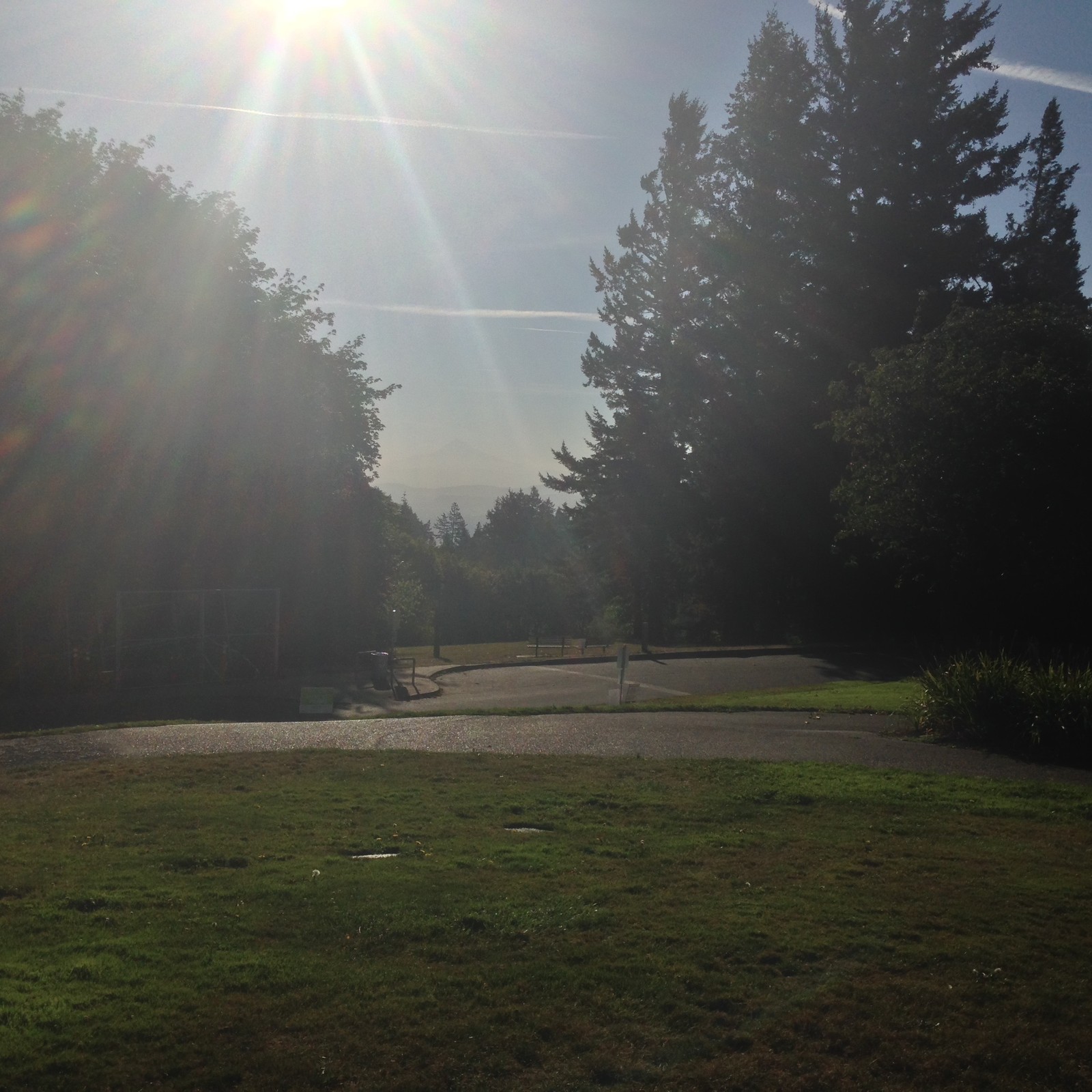 View from Council Crest toward Mt. Hood, which is visible