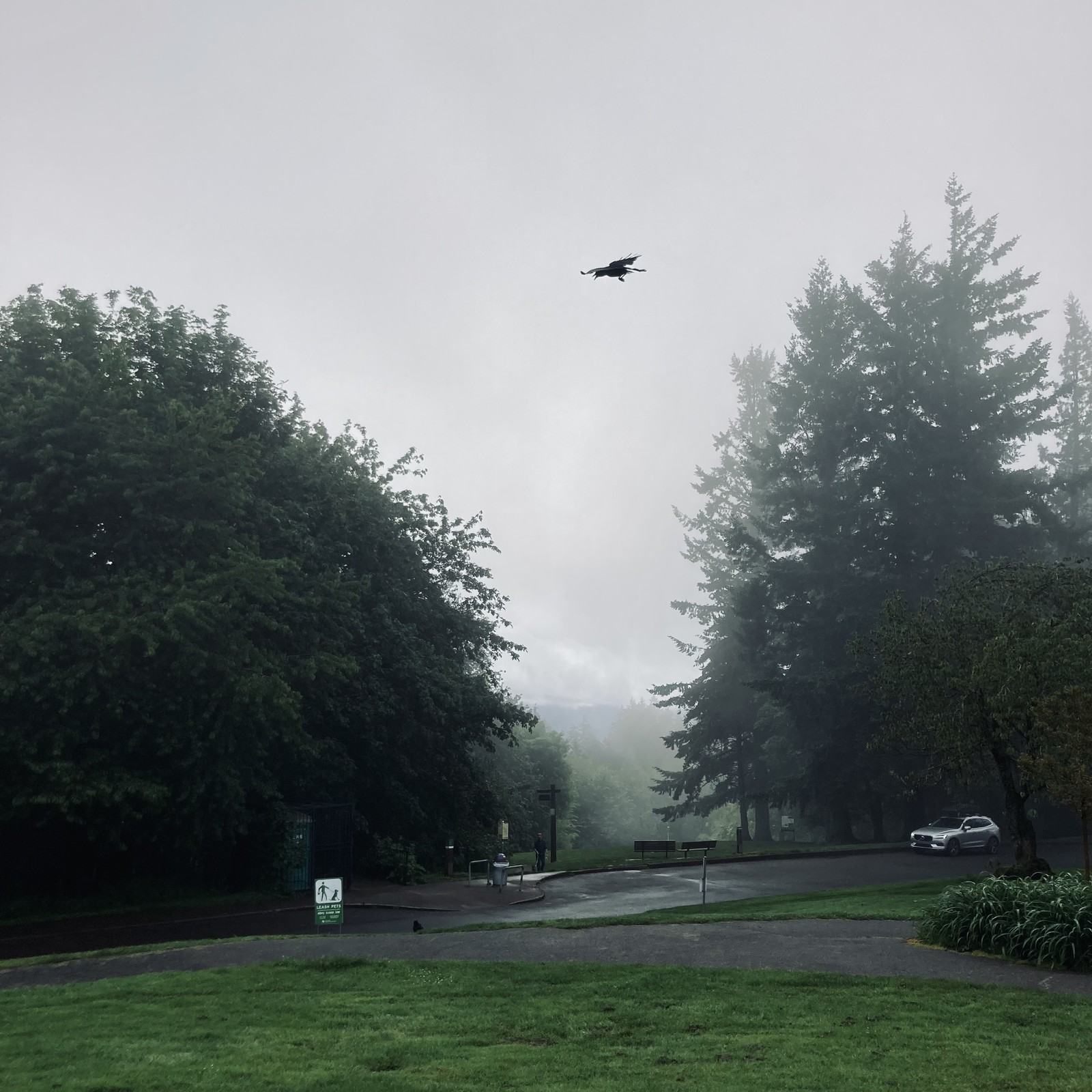 View from Council Crest toward Mt. Hood, which is NOT visible