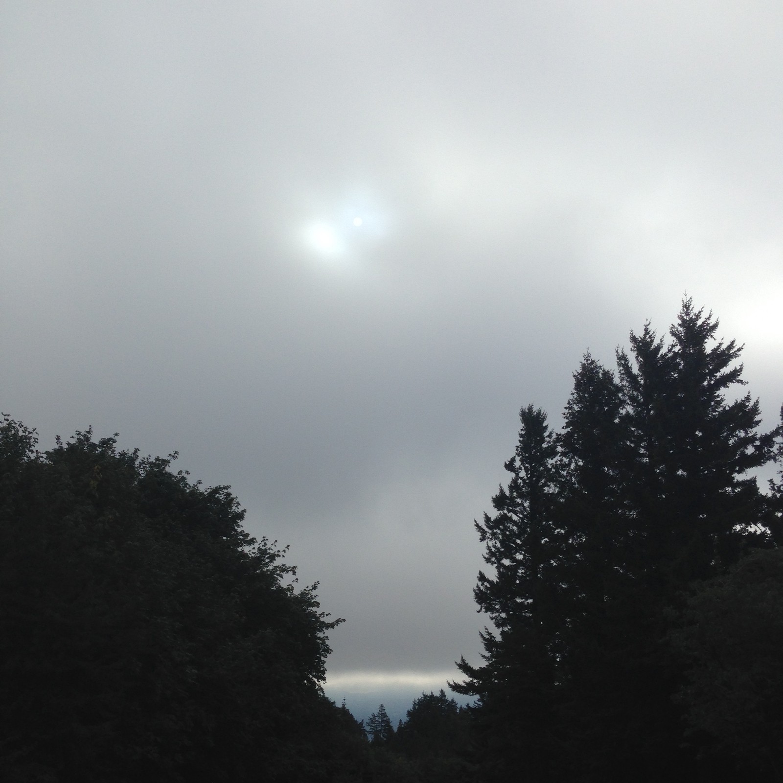 View from Council Crest toward Mt. Hood, which is NOT visible
