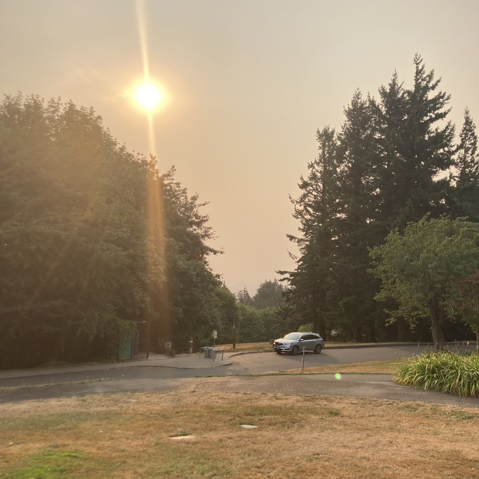 View from Council Crest toward Mt. Hood, which is NOT visible