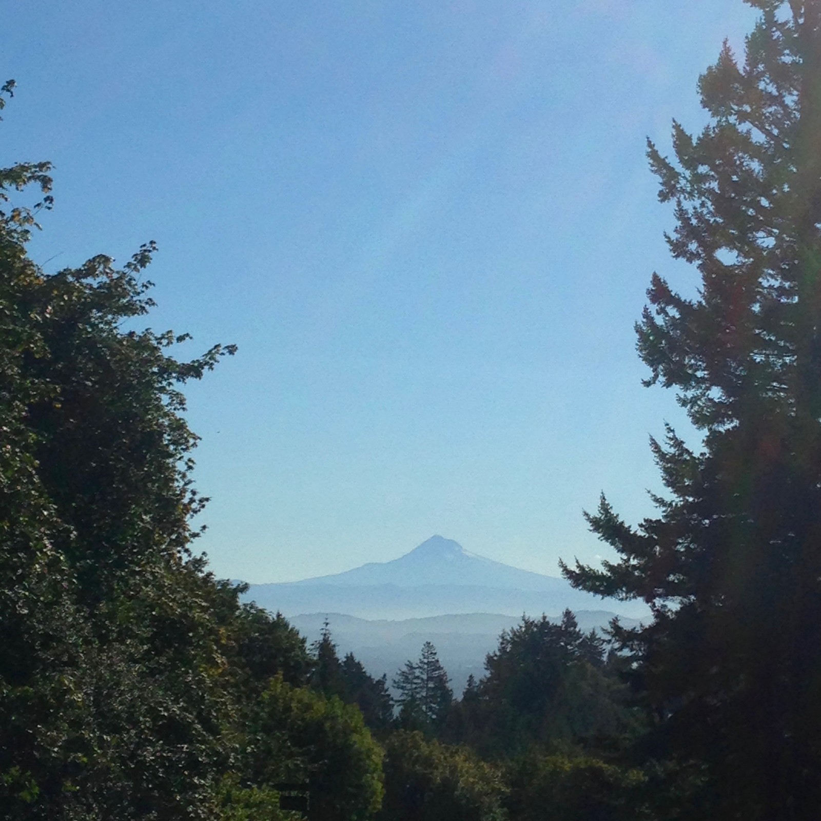 View from Council Crest toward Mt. Hood, which is visible