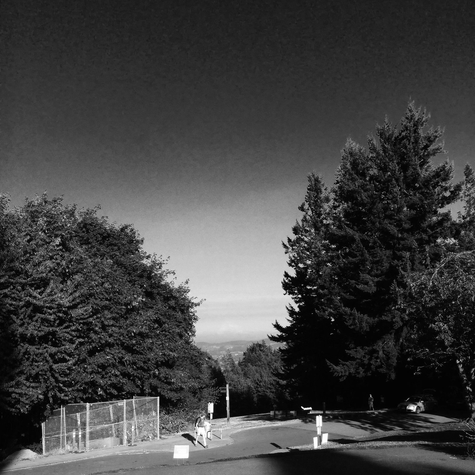 View from Council Crest toward Mt. Hood, which is visible