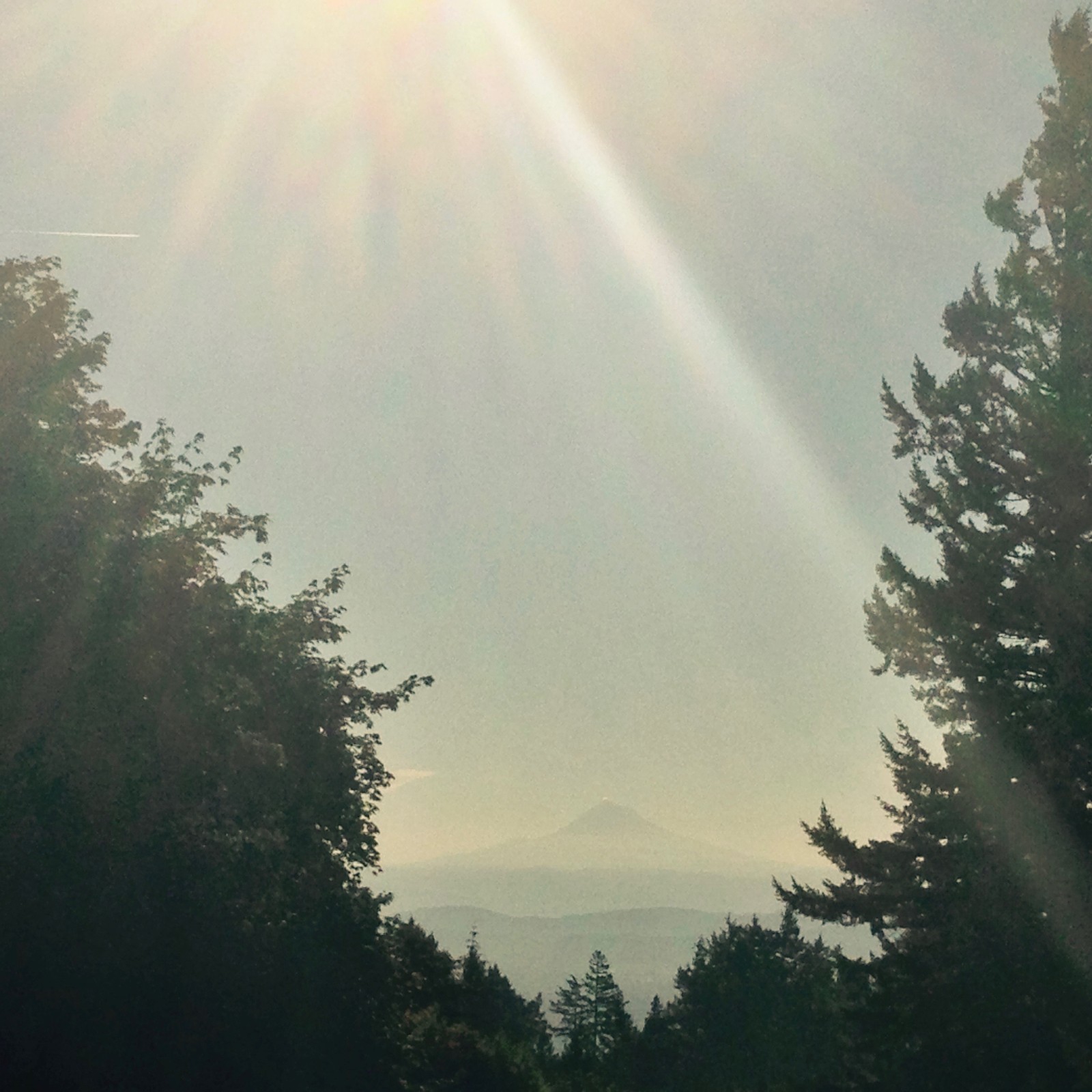 View from Council Crest toward Mt. Hood, which is visible