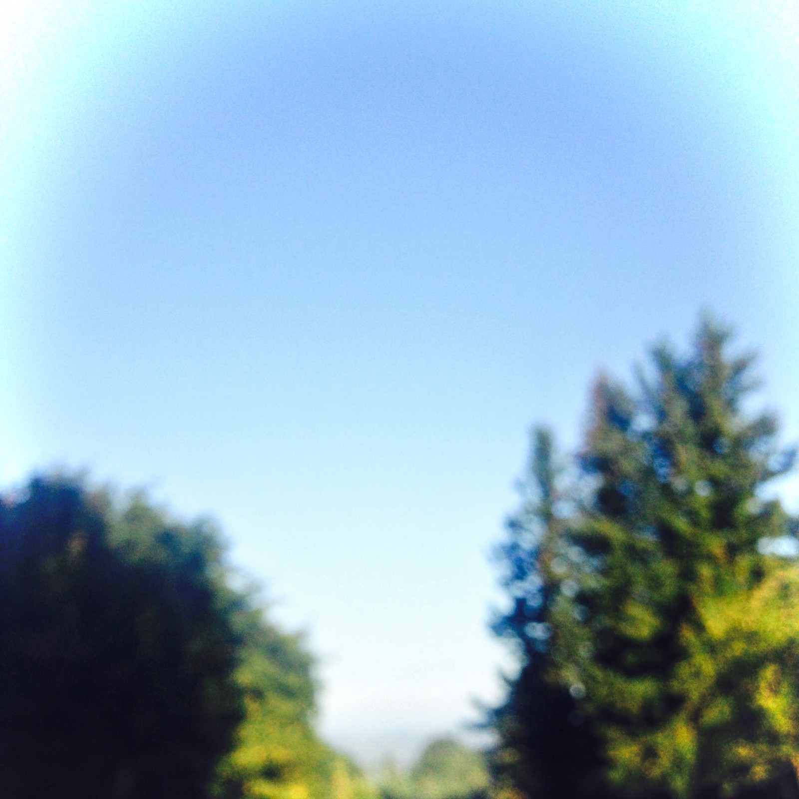 View from Council Crest toward Mt. Hood, which is visible
