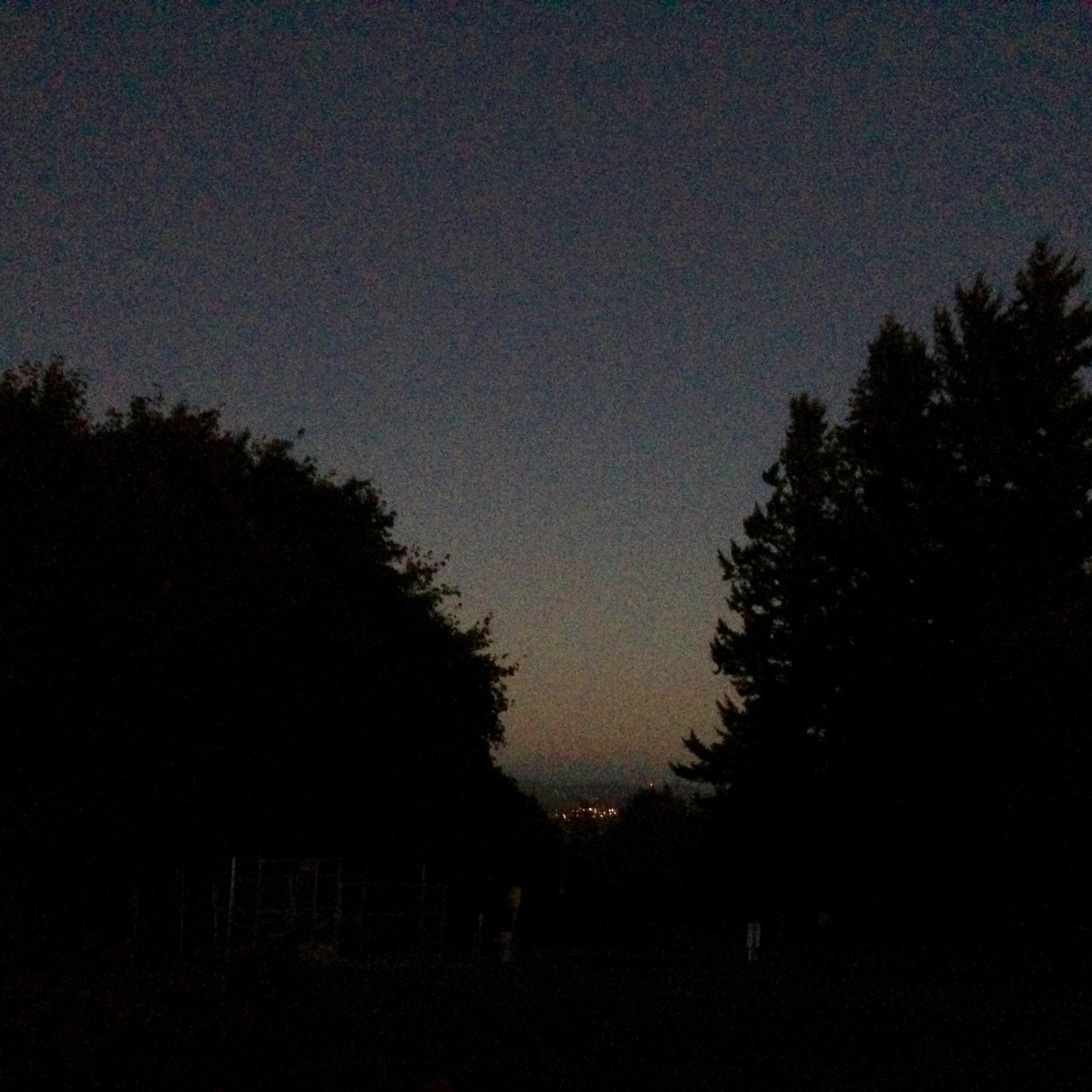 View from Council Crest toward Mt. Hood, which is visible