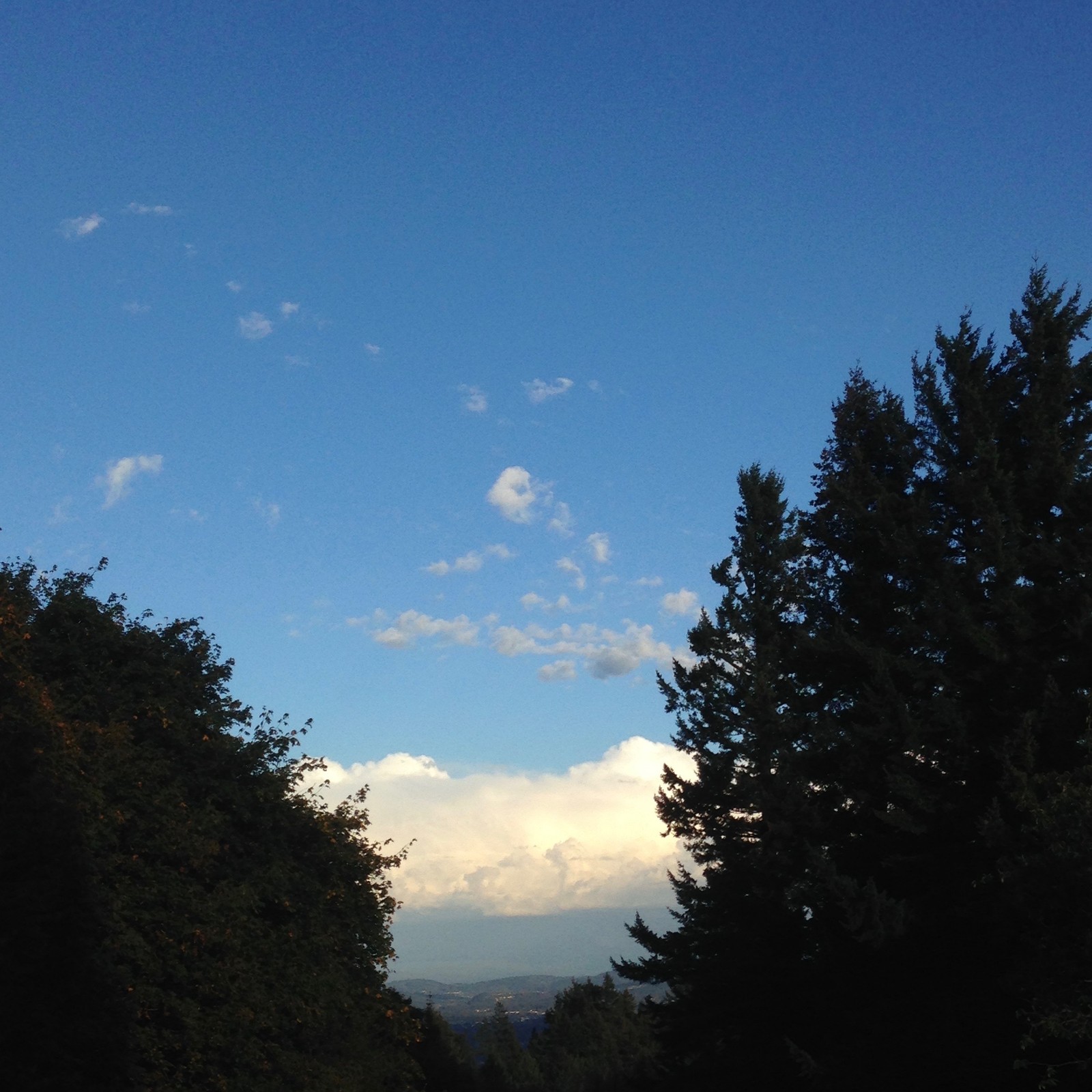 View from Council Crest toward Mt. Hood, which is NOT visible