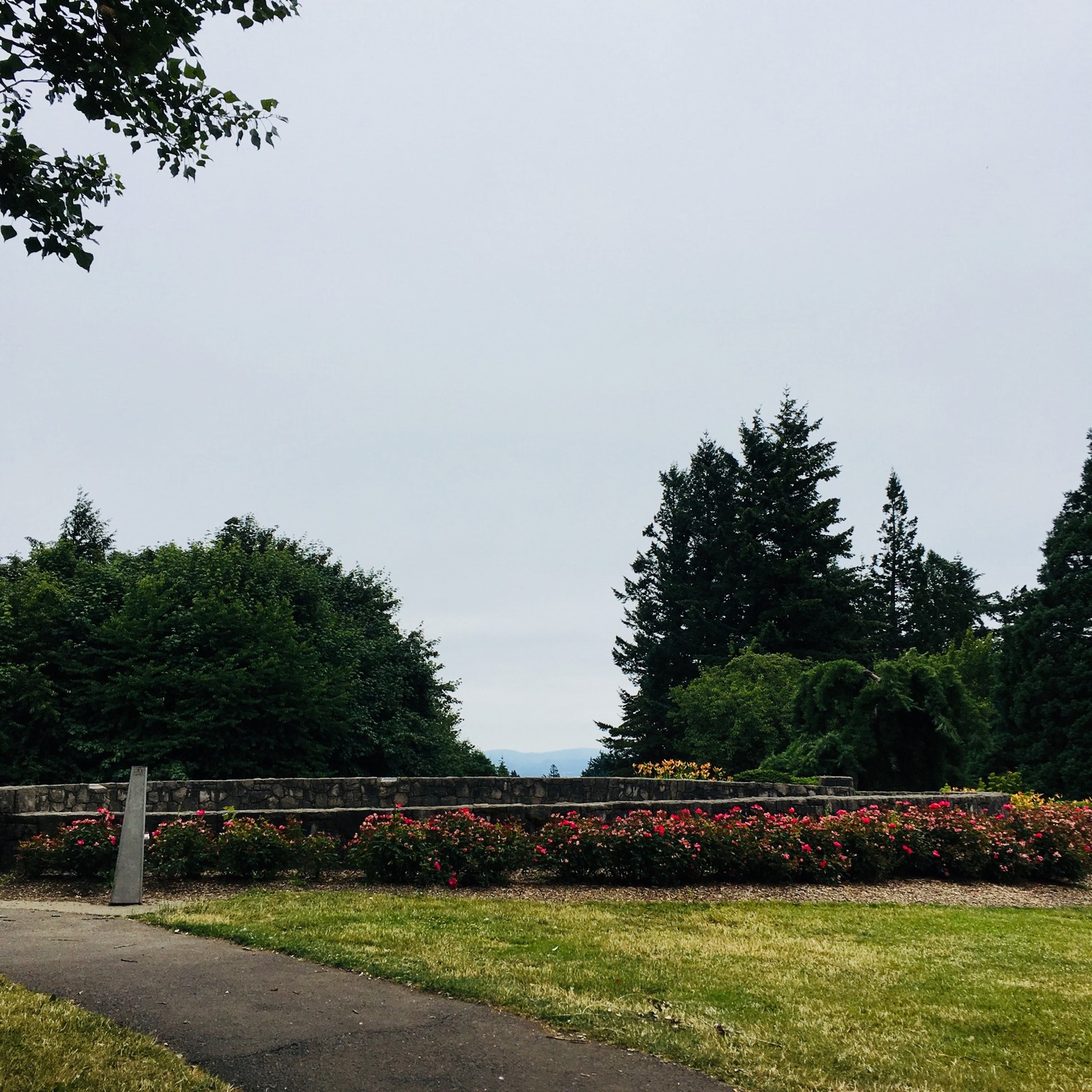 View from Council Crest toward Mt. Hood, which is NOT visible