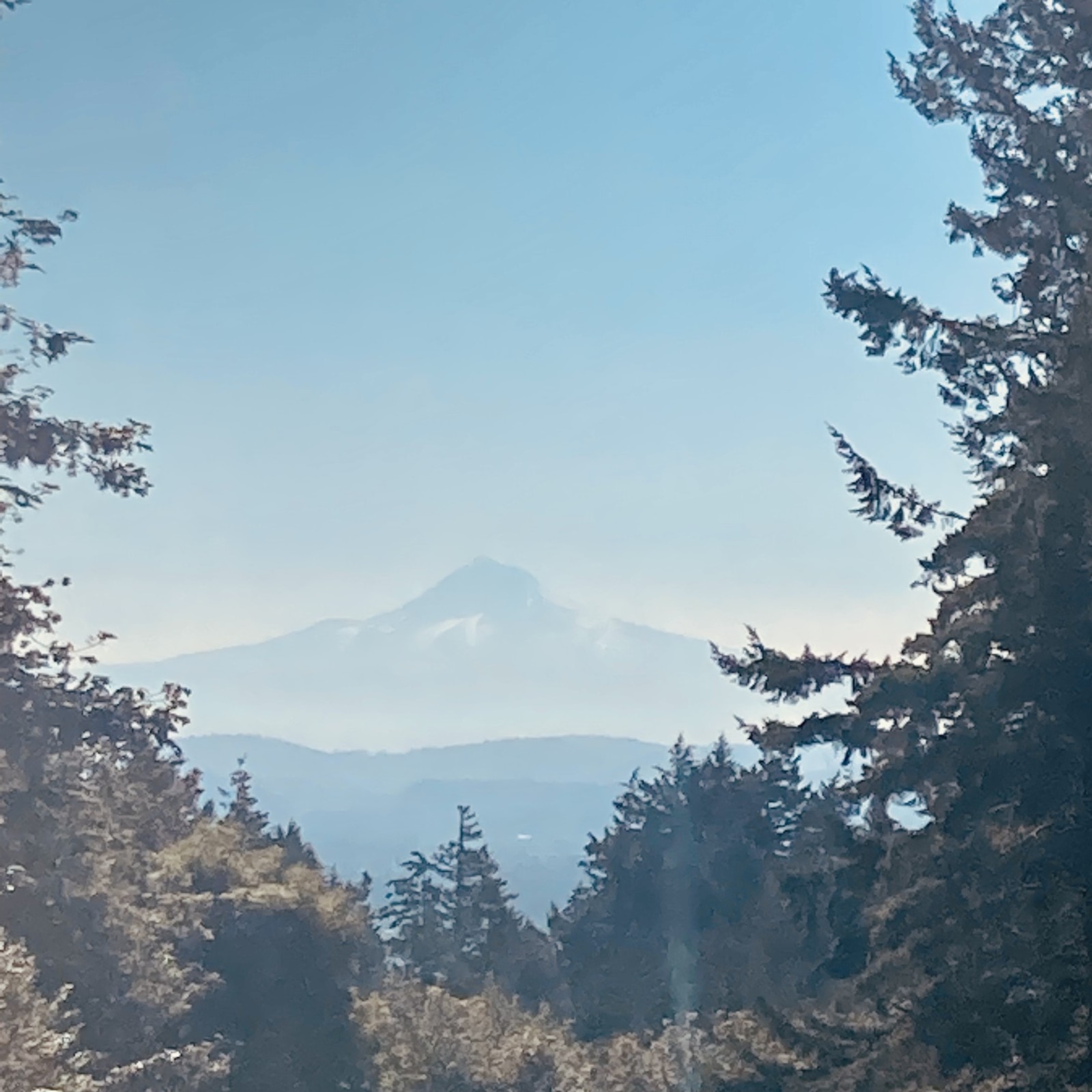 View from Council Crest toward Mt. Hood, which is visible