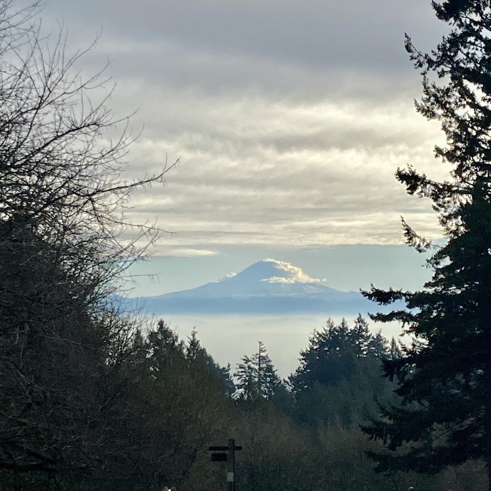 View from Council Crest toward Mt. Hood, which is visible