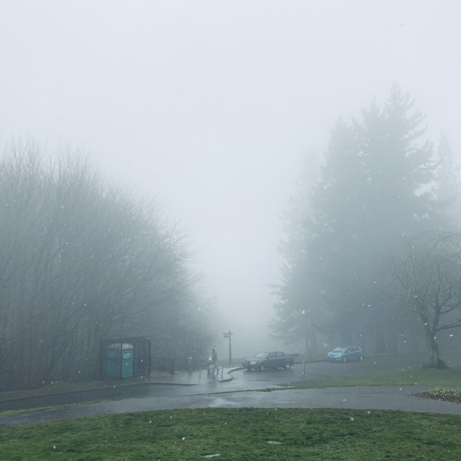 View from Council Crest toward Mt. Hood, which is NOT visible
