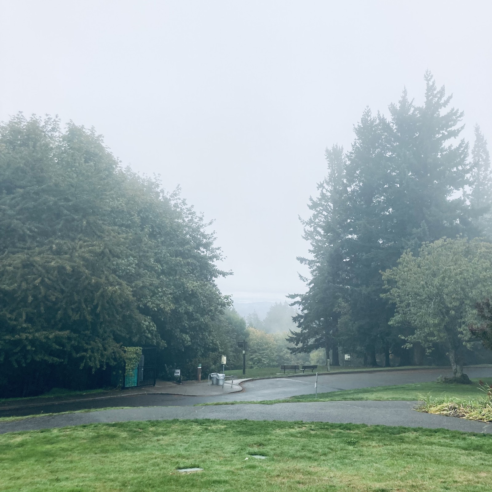 View from Council Crest toward Mt. Hood, which is NOT visible