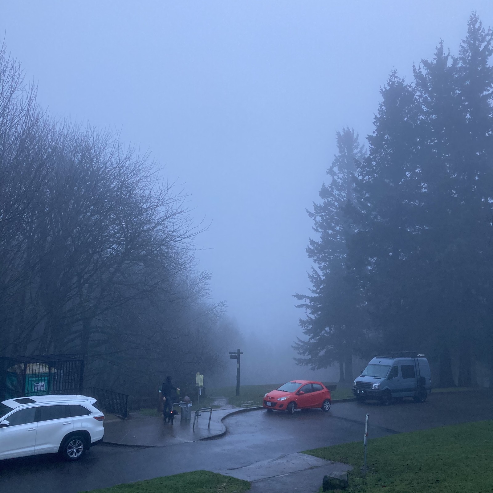 View from Council Crest toward Mt. Hood, which is NOT visible