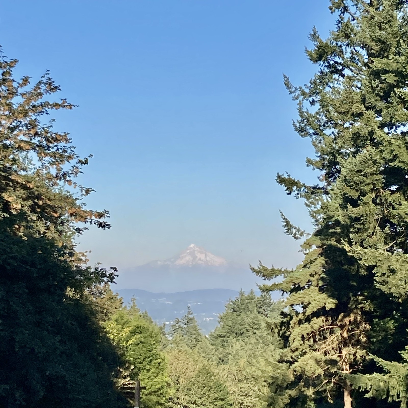 View from Council Crest toward Mt. Hood, which is visible