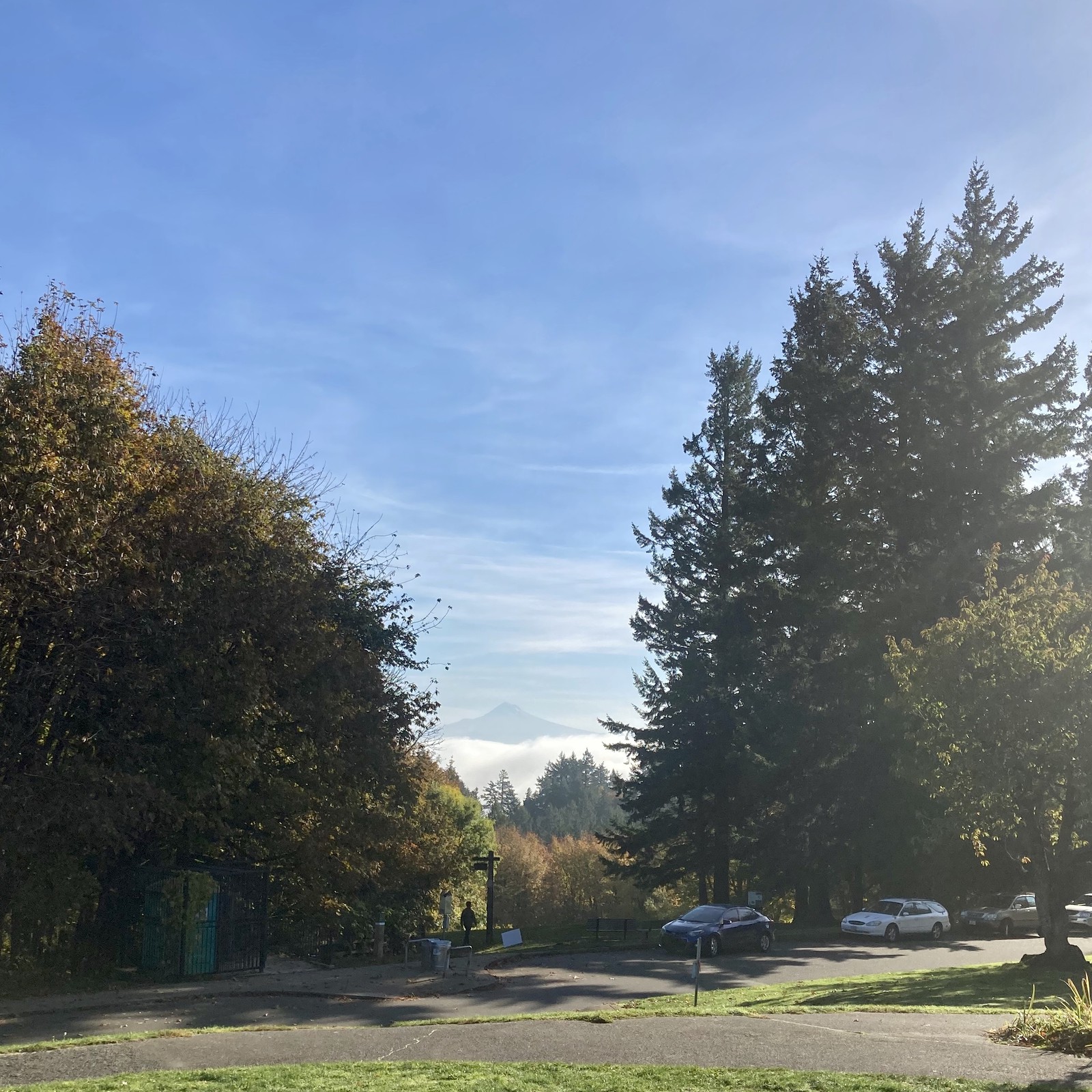 View from Council Crest toward Mt. Hood, which is visible