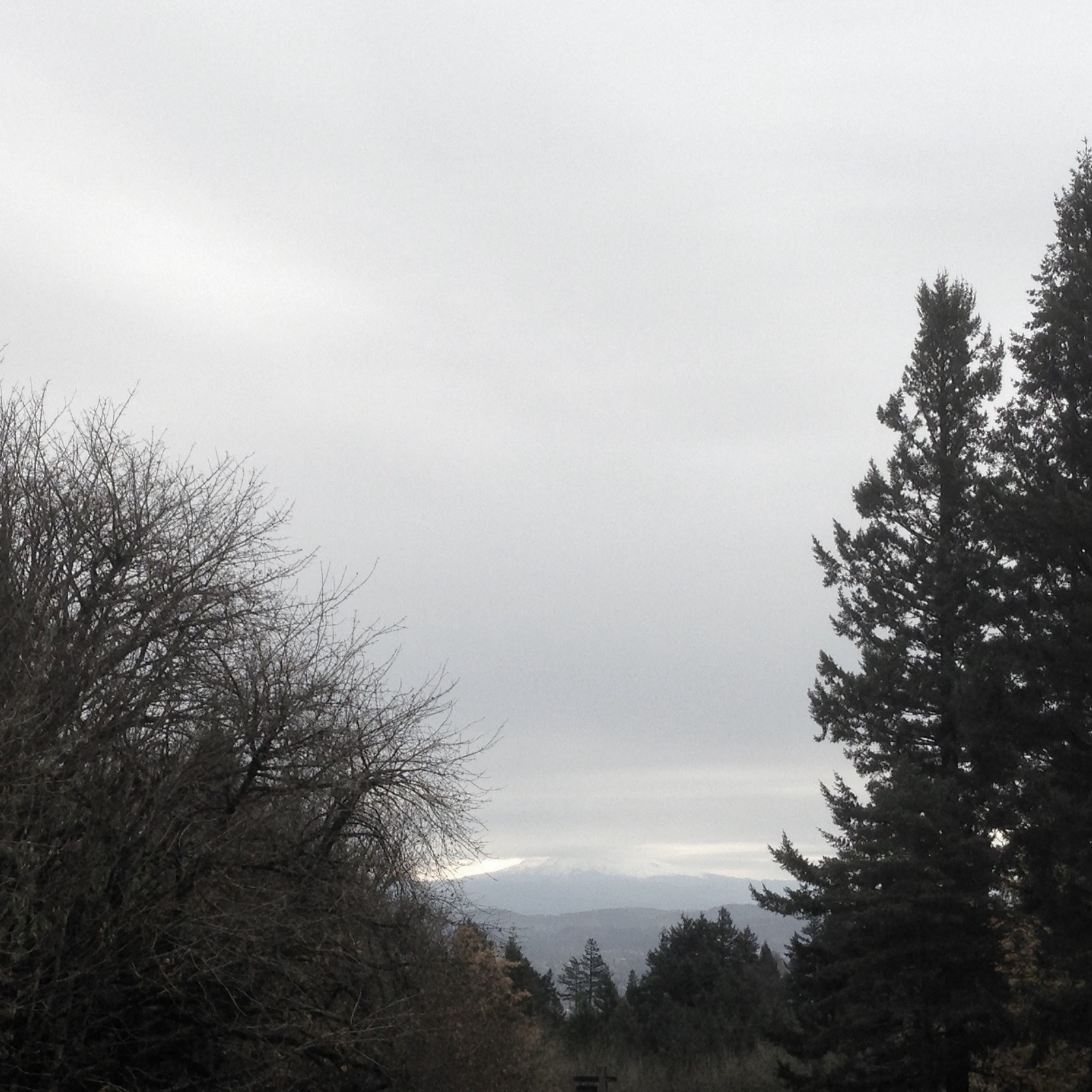 View from Council Crest toward Mt. Hood, which is NOT visible