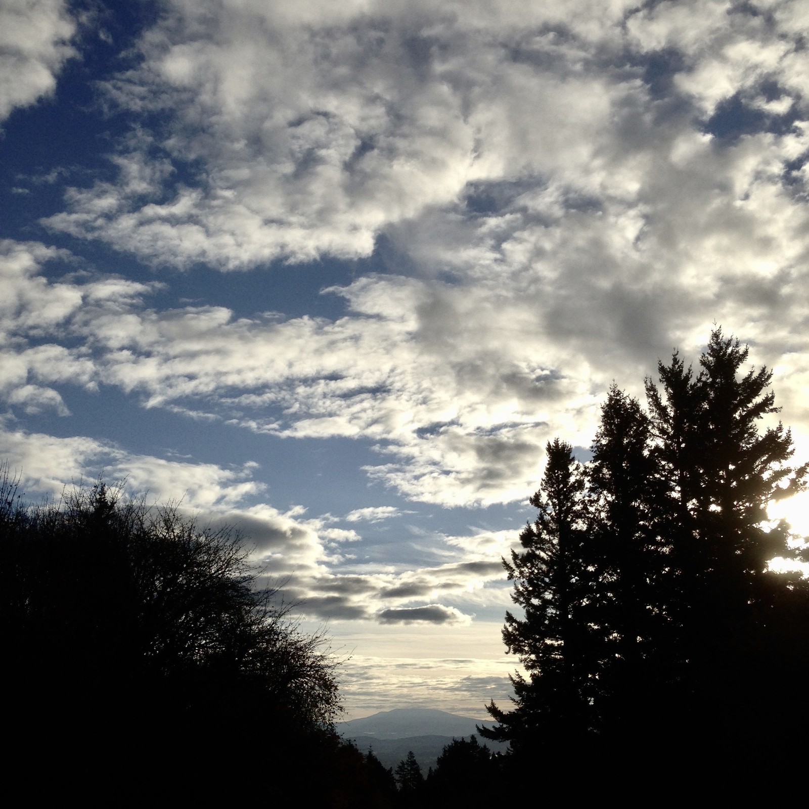 View from Council Crest toward Mt. Hood, which is visible