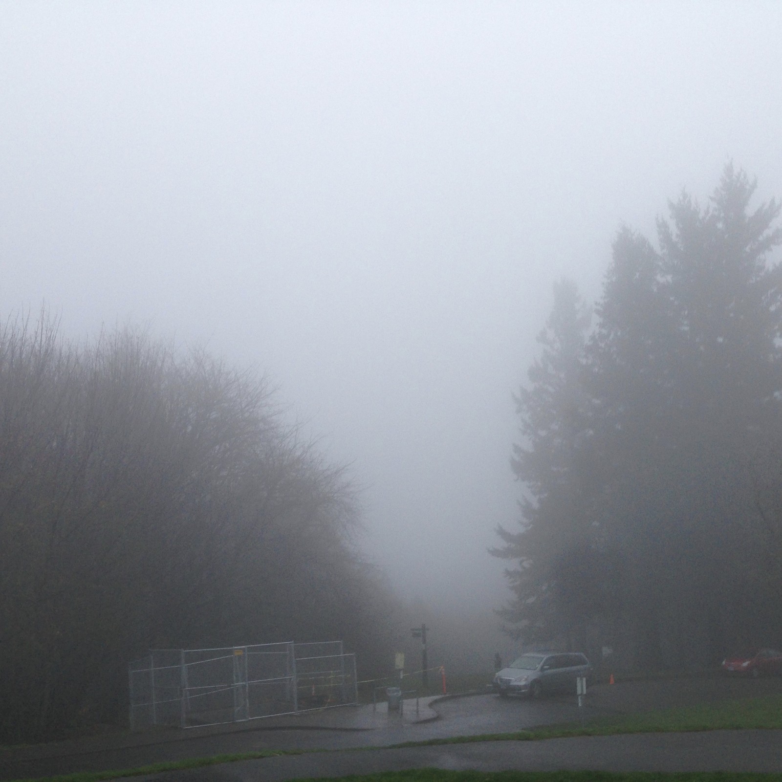 View from Council Crest toward Mt. Hood, which is NOT visible