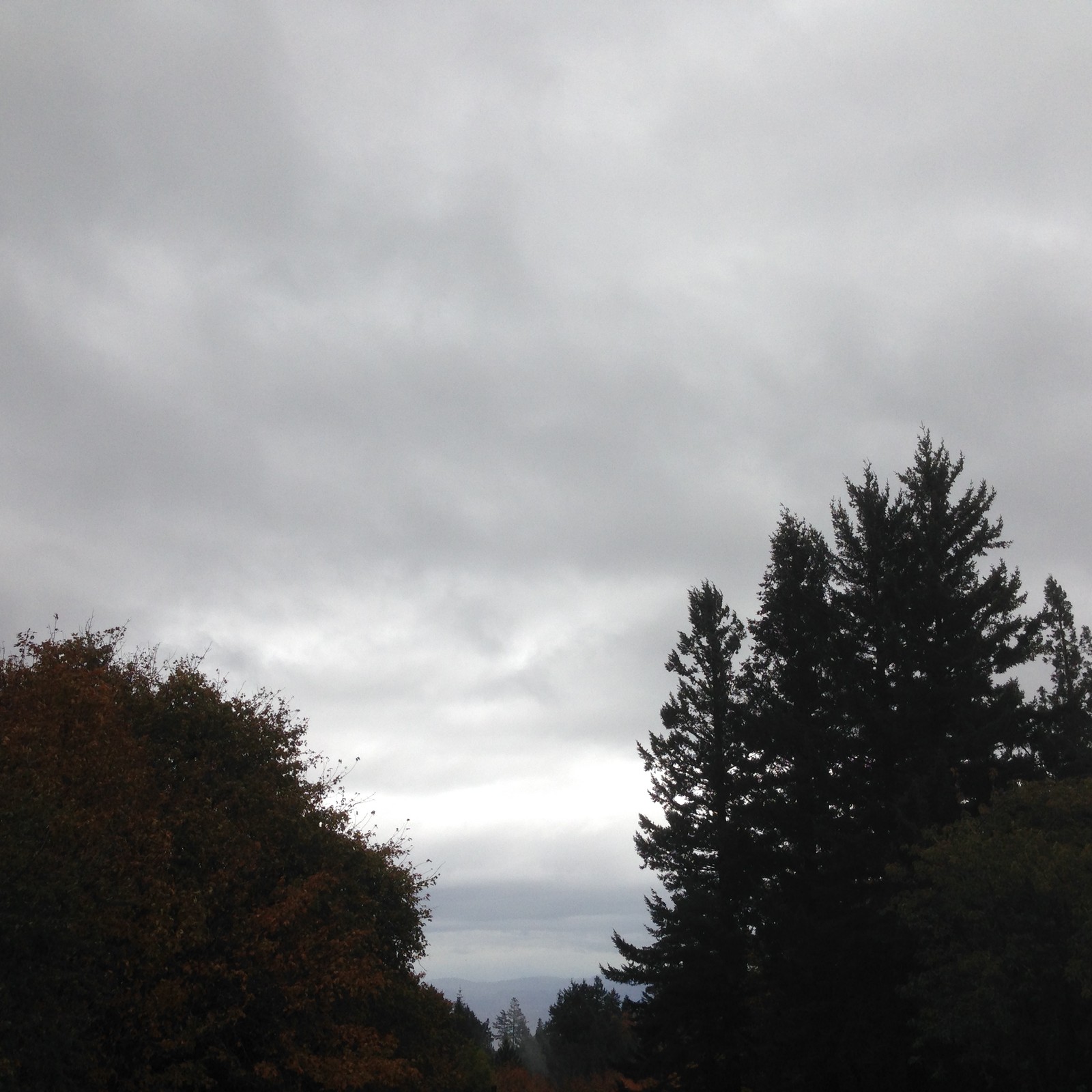 View from Council Crest toward Mt. Hood, which is NOT visible