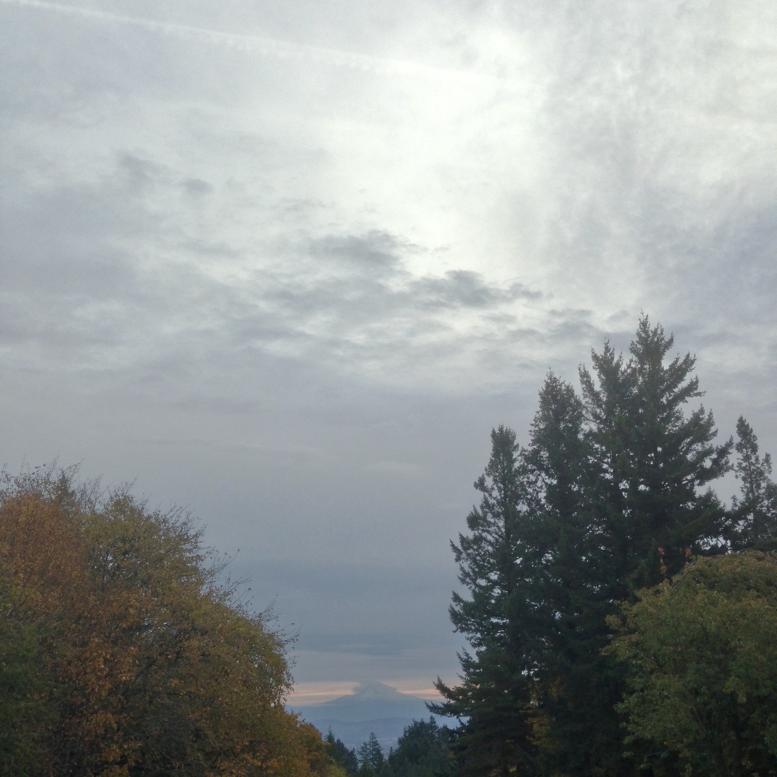 View from Council Crest toward Mt. Hood, which is visible