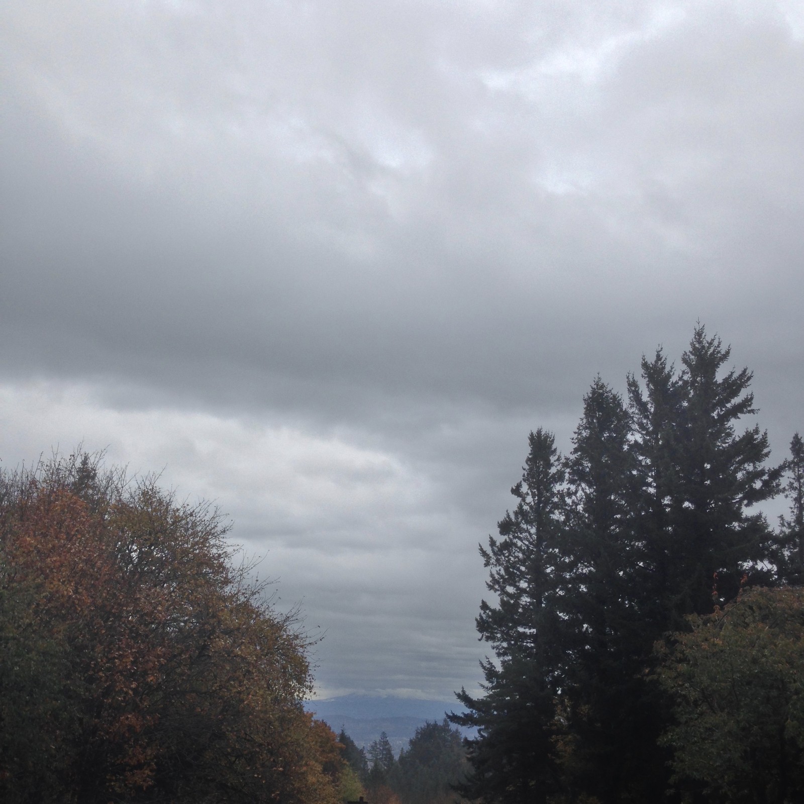 View from Council Crest toward Mt. Hood, which is NOT visible