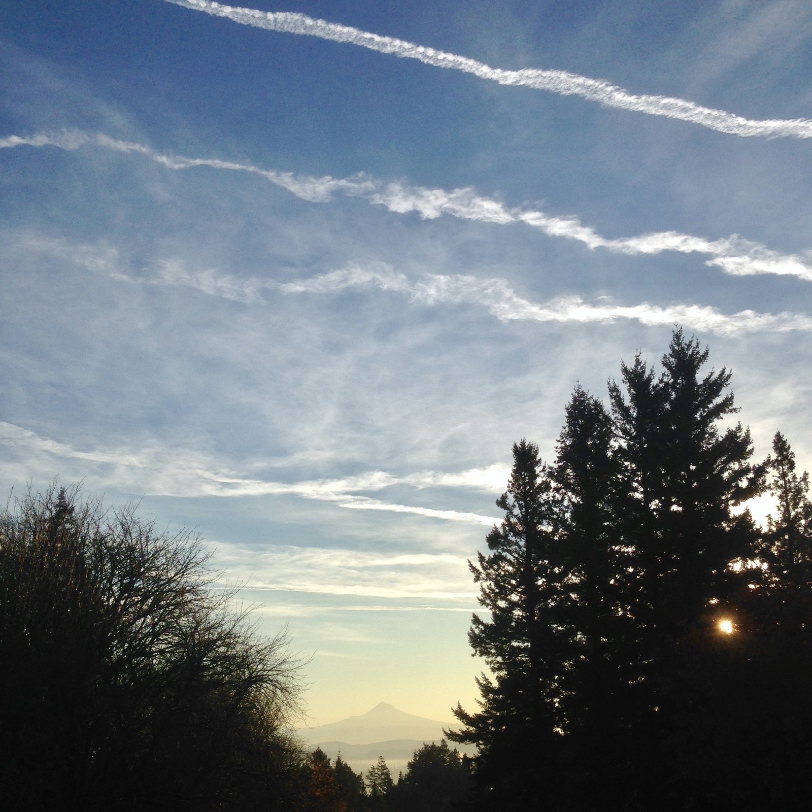 View from Council Crest toward Mt. Hood, which is visible