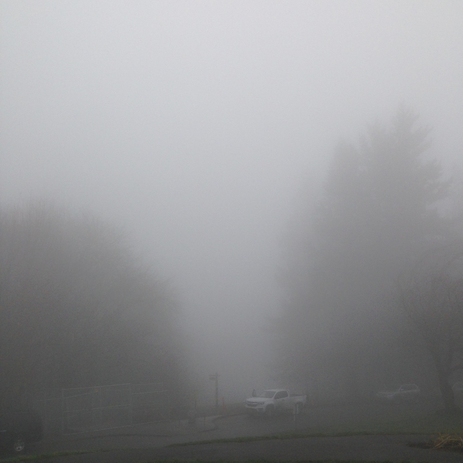 View from Council Crest toward Mt. Hood, which is NOT visible