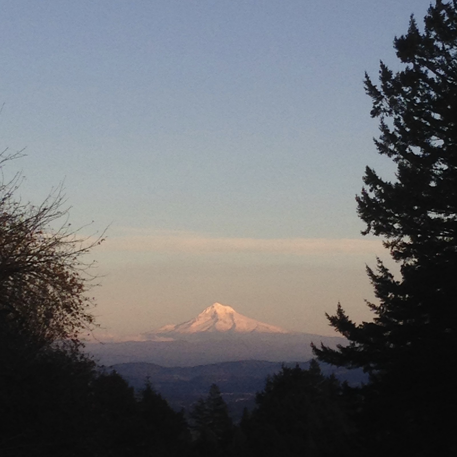 View from Council Crest toward Mt. Hood, which is visible