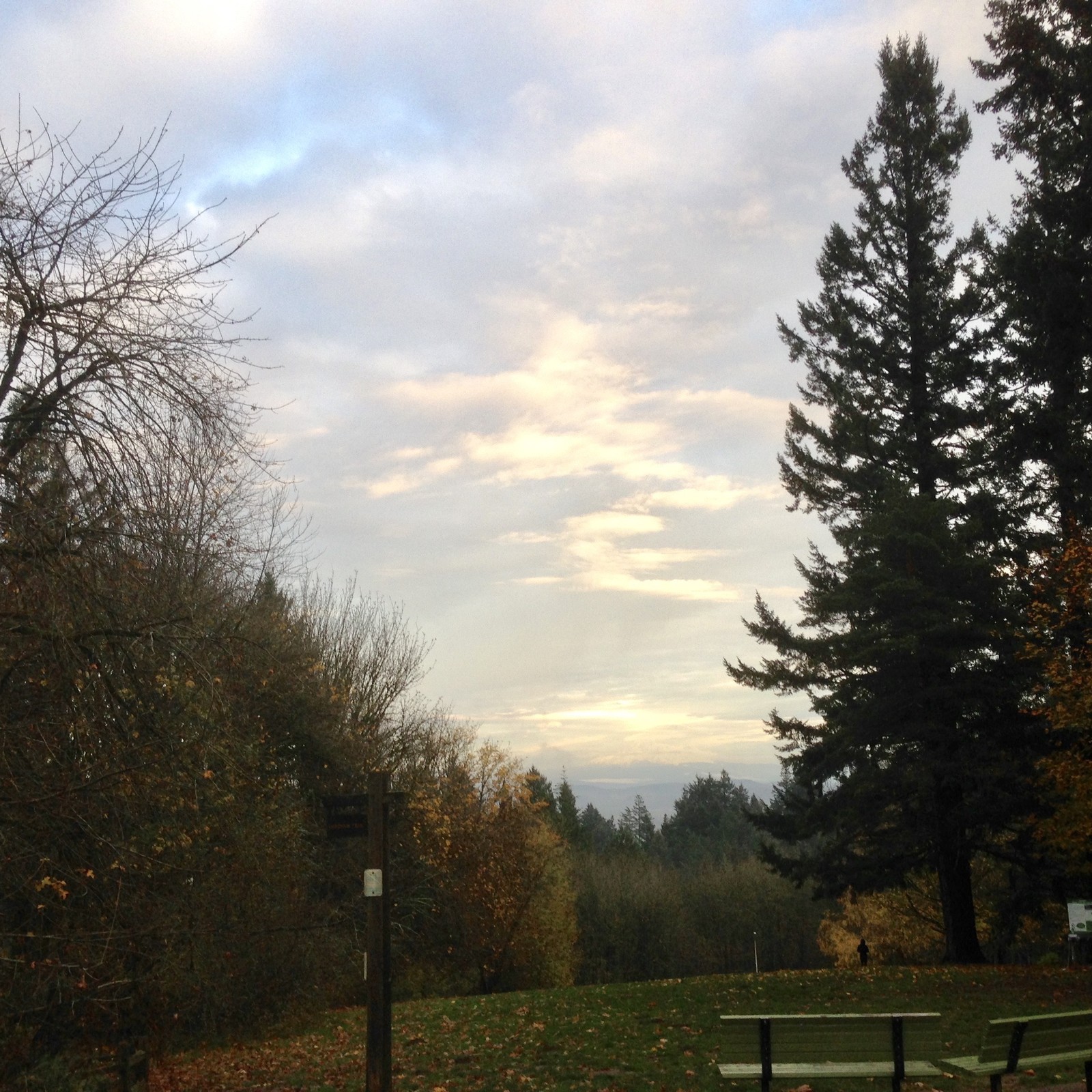 View from Council Crest toward Mt. Hood, which is visible