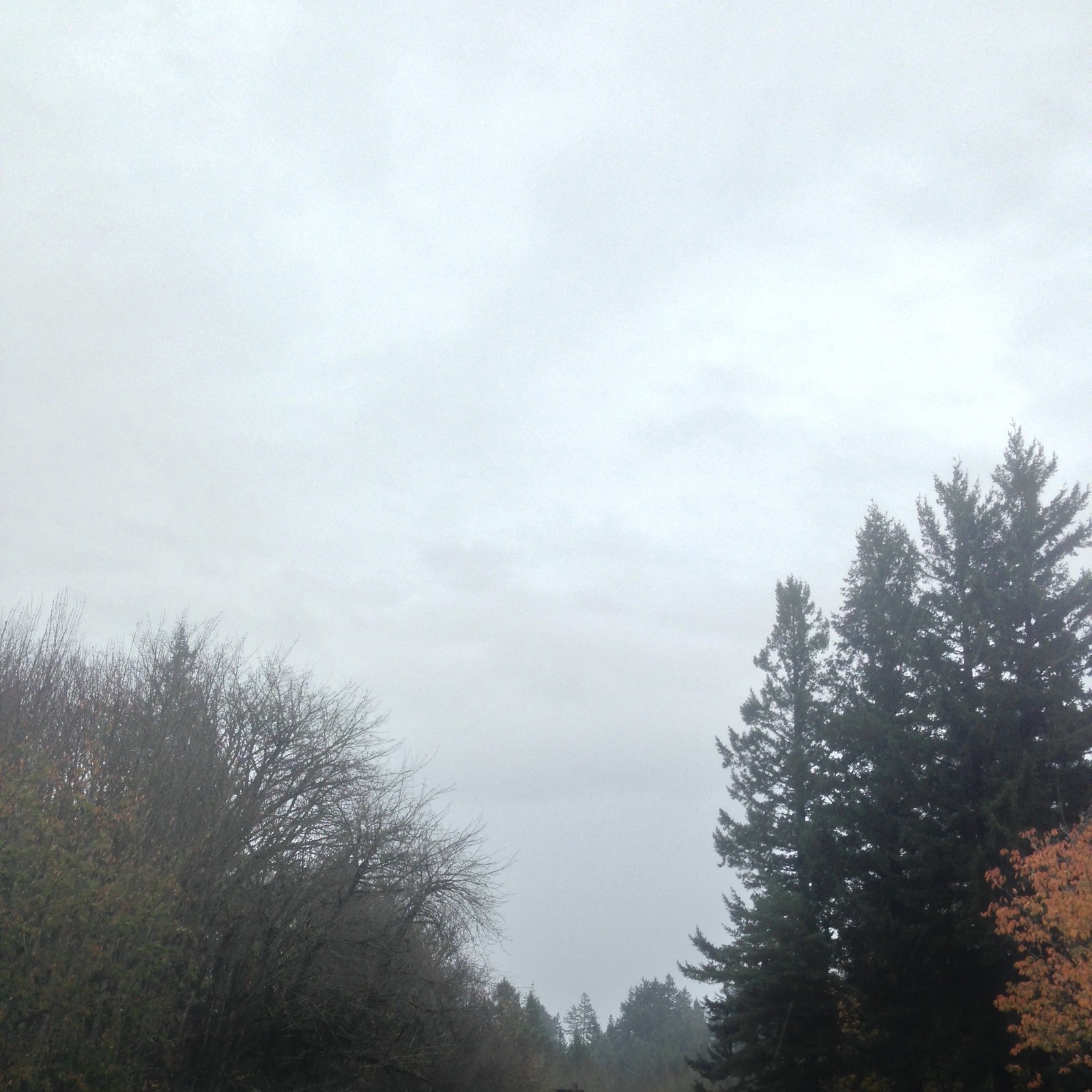 View from Council Crest toward Mt. Hood, which is NOT visible