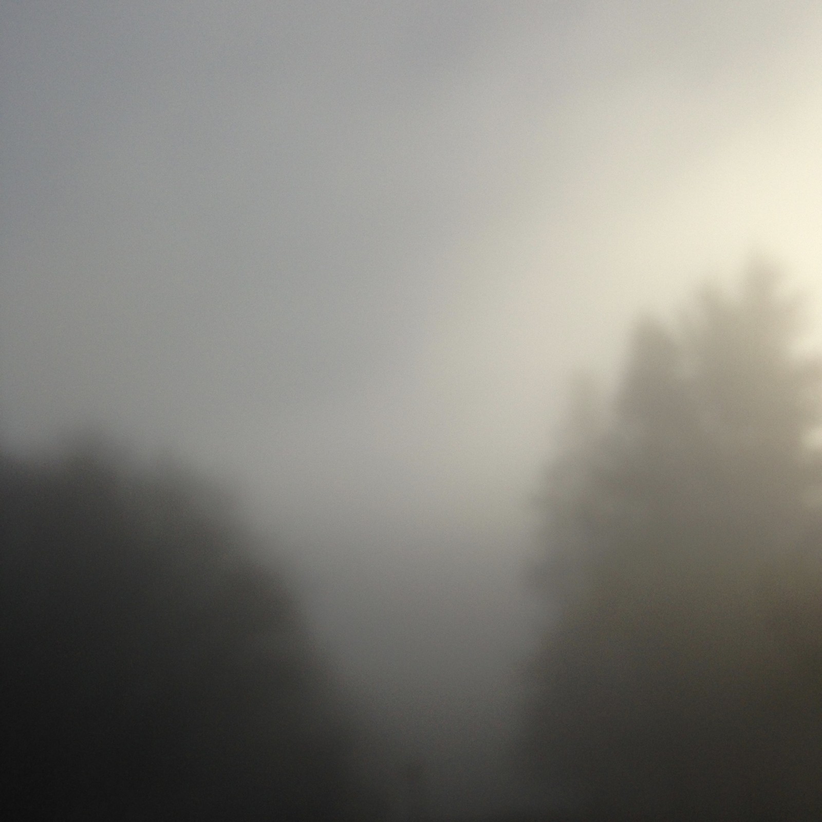 View from Council Crest toward Mt. Hood, which is NOT visible