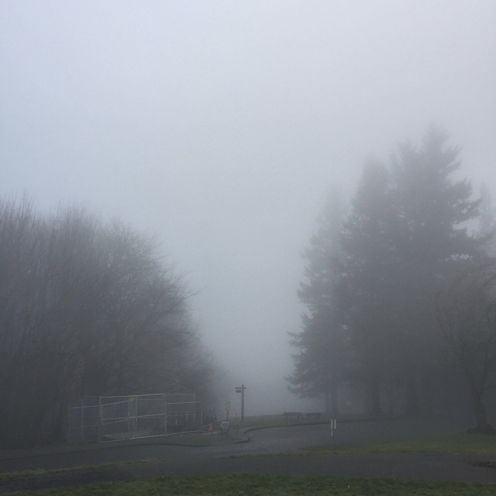 View from Council Crest toward Mt. Hood, which is NOT visible