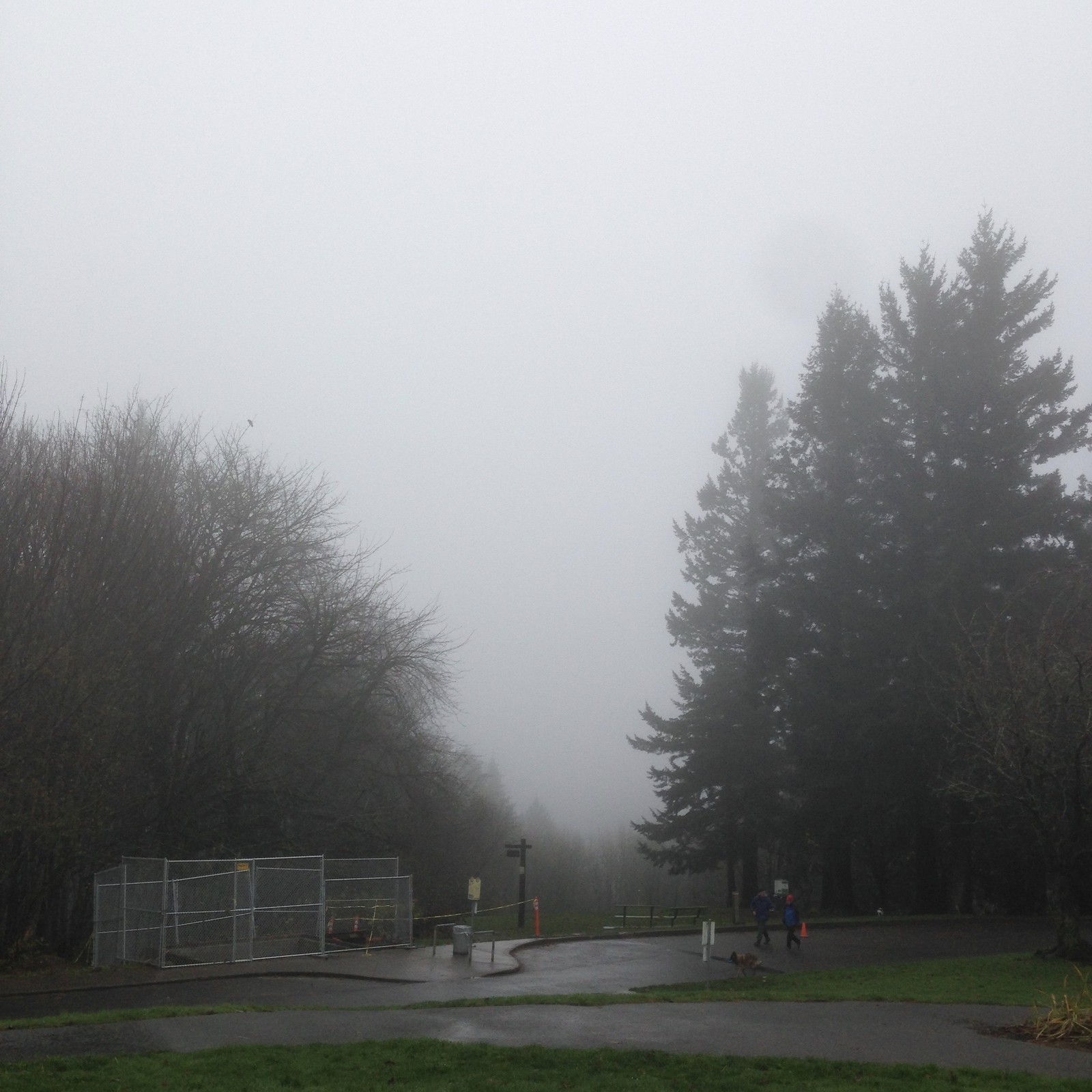 View from Council Crest toward Mt. Hood, which is NOT visible