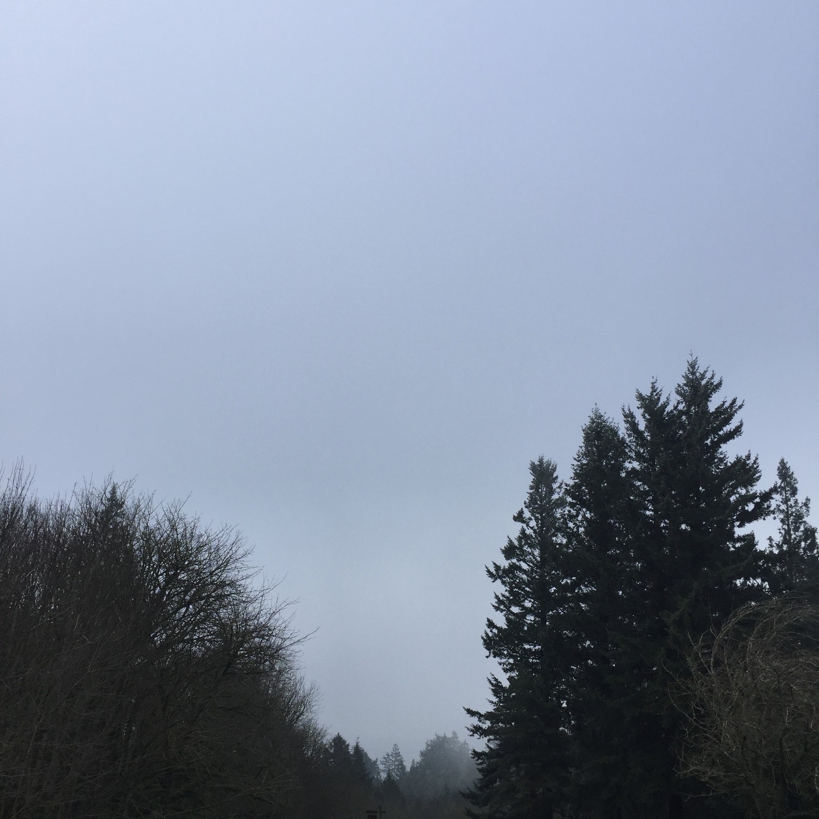 View from Council Crest toward Mt. Hood, which is NOT visible