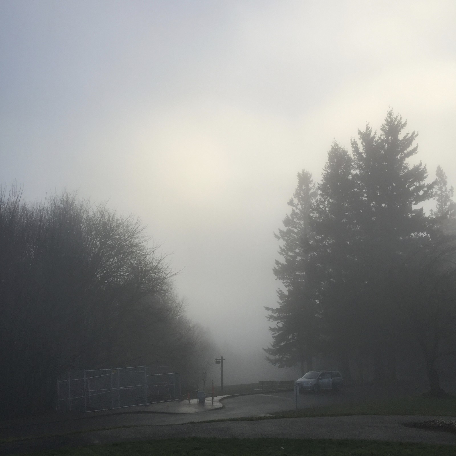 View from Council Crest toward Mt. Hood, which is NOT visible