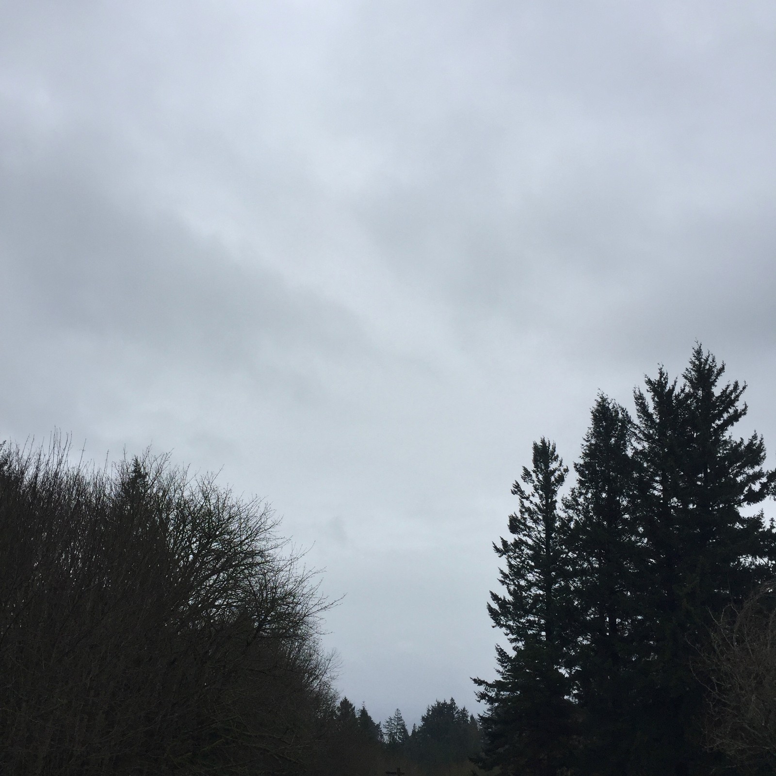 View from Council Crest toward Mt. Hood, which is NOT visible