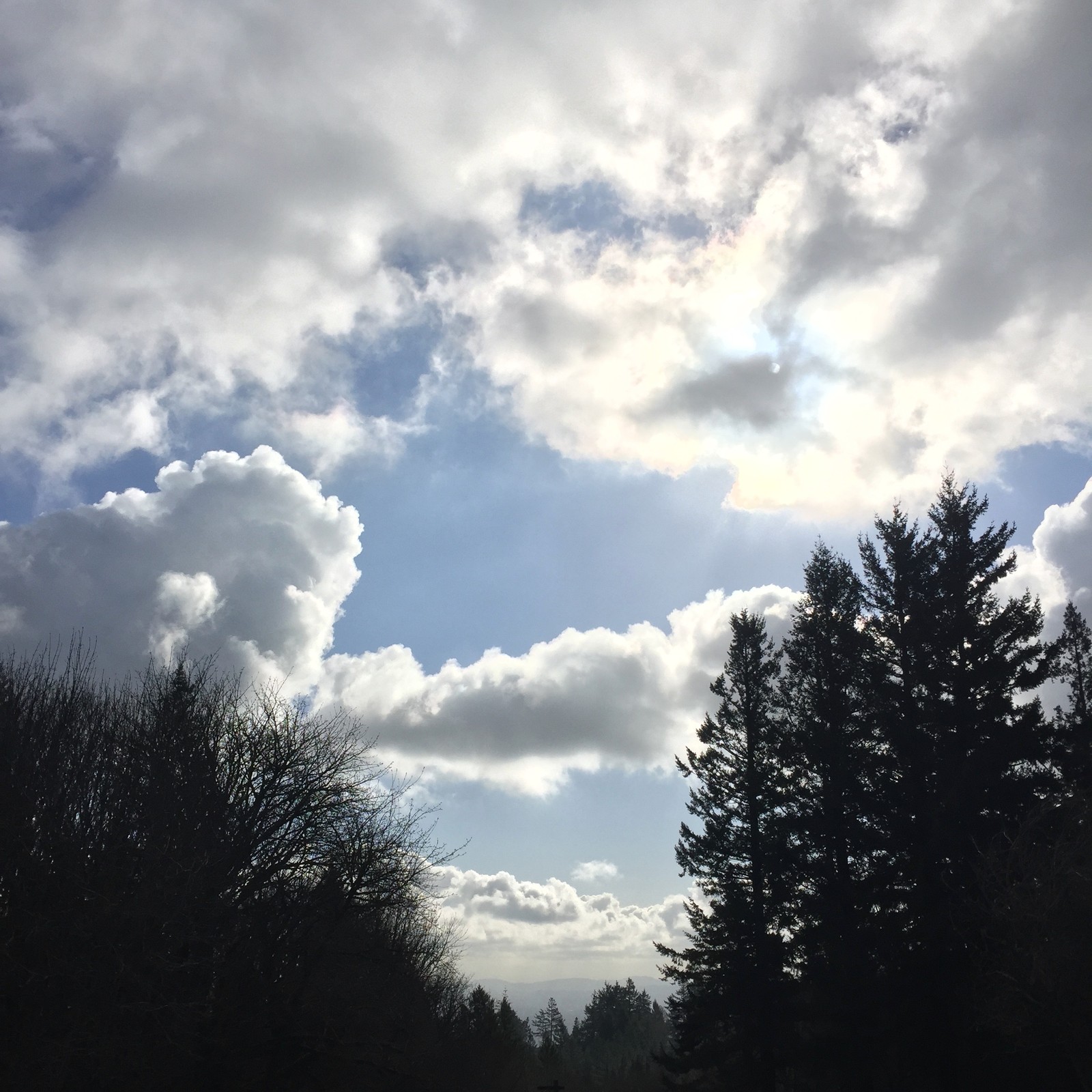 View from Council Crest toward Mt. Hood, which is NOT visible