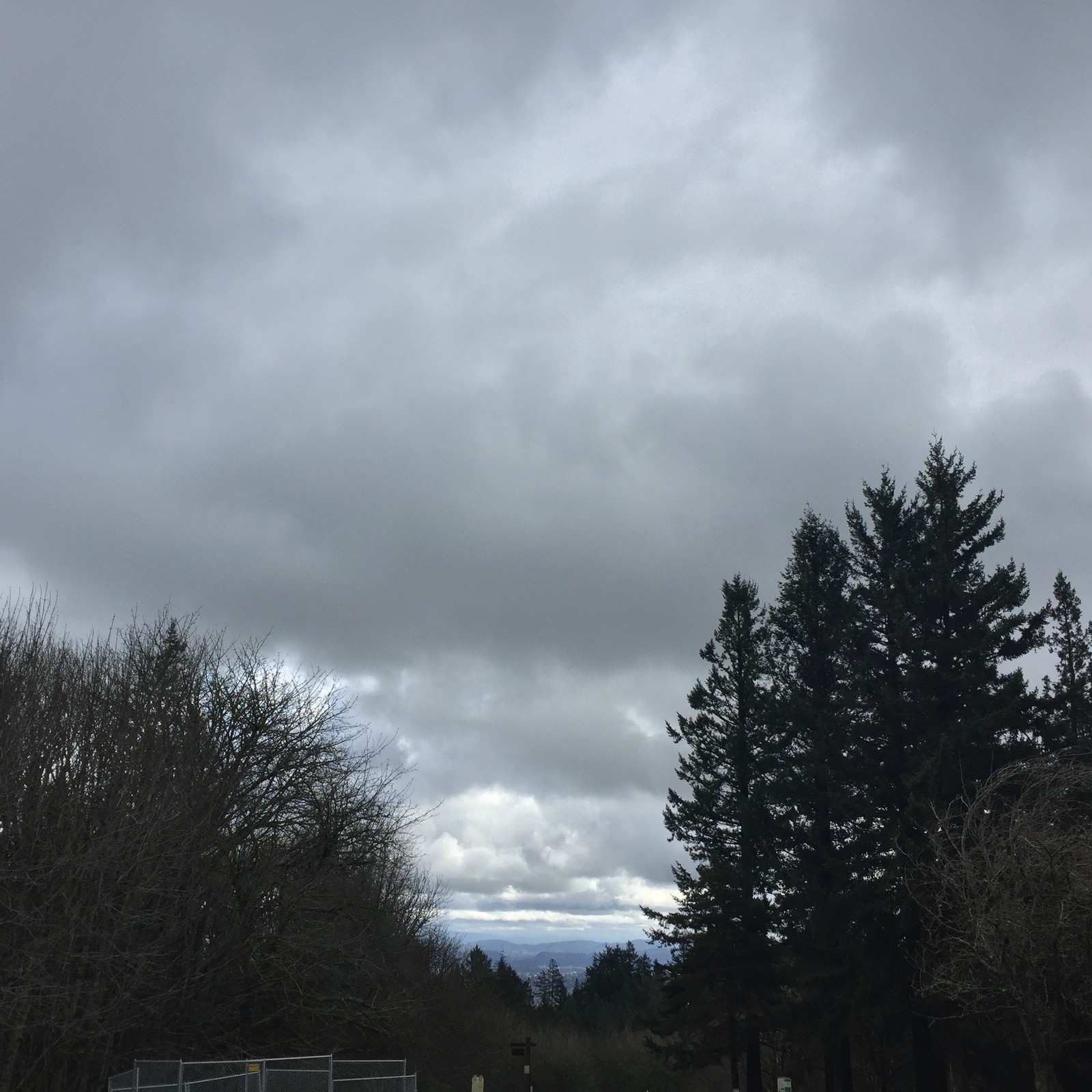 View from Council Crest toward Mt. Hood, which is NOT visible