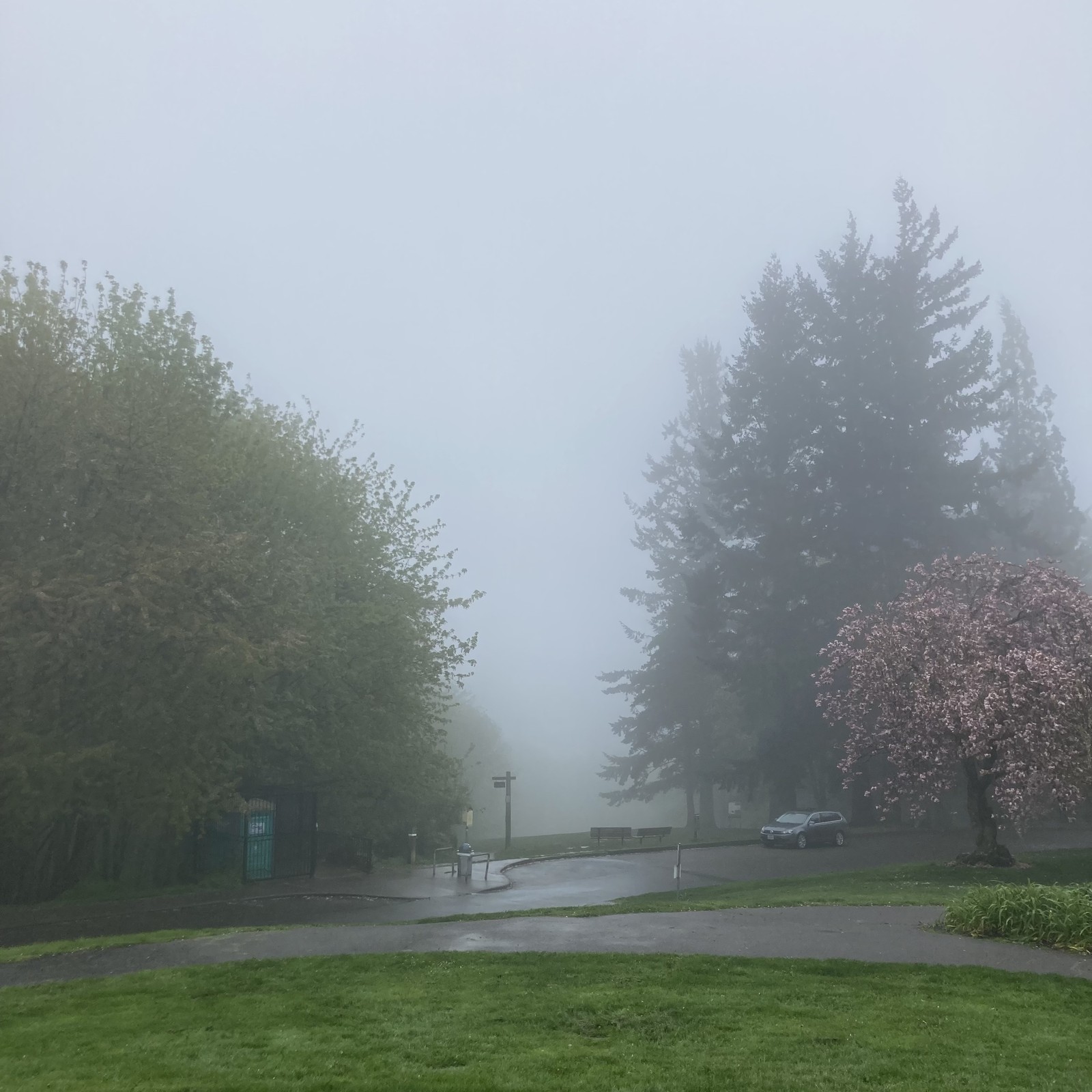 View from Council Crest toward Mt. Hood, which is NOT visible