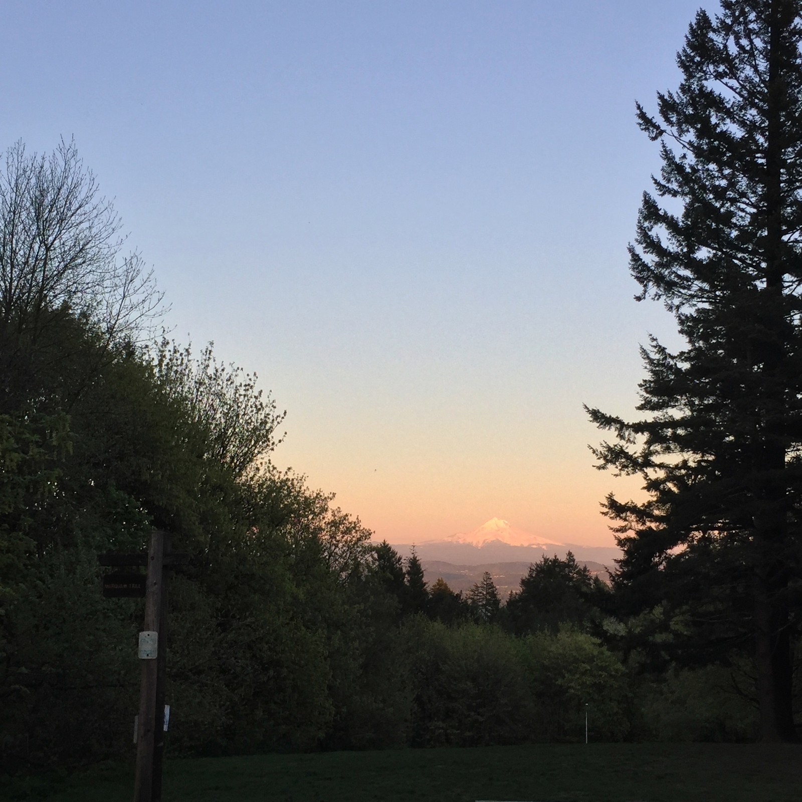 View from Council Crest toward Mt. Hood, which is visible